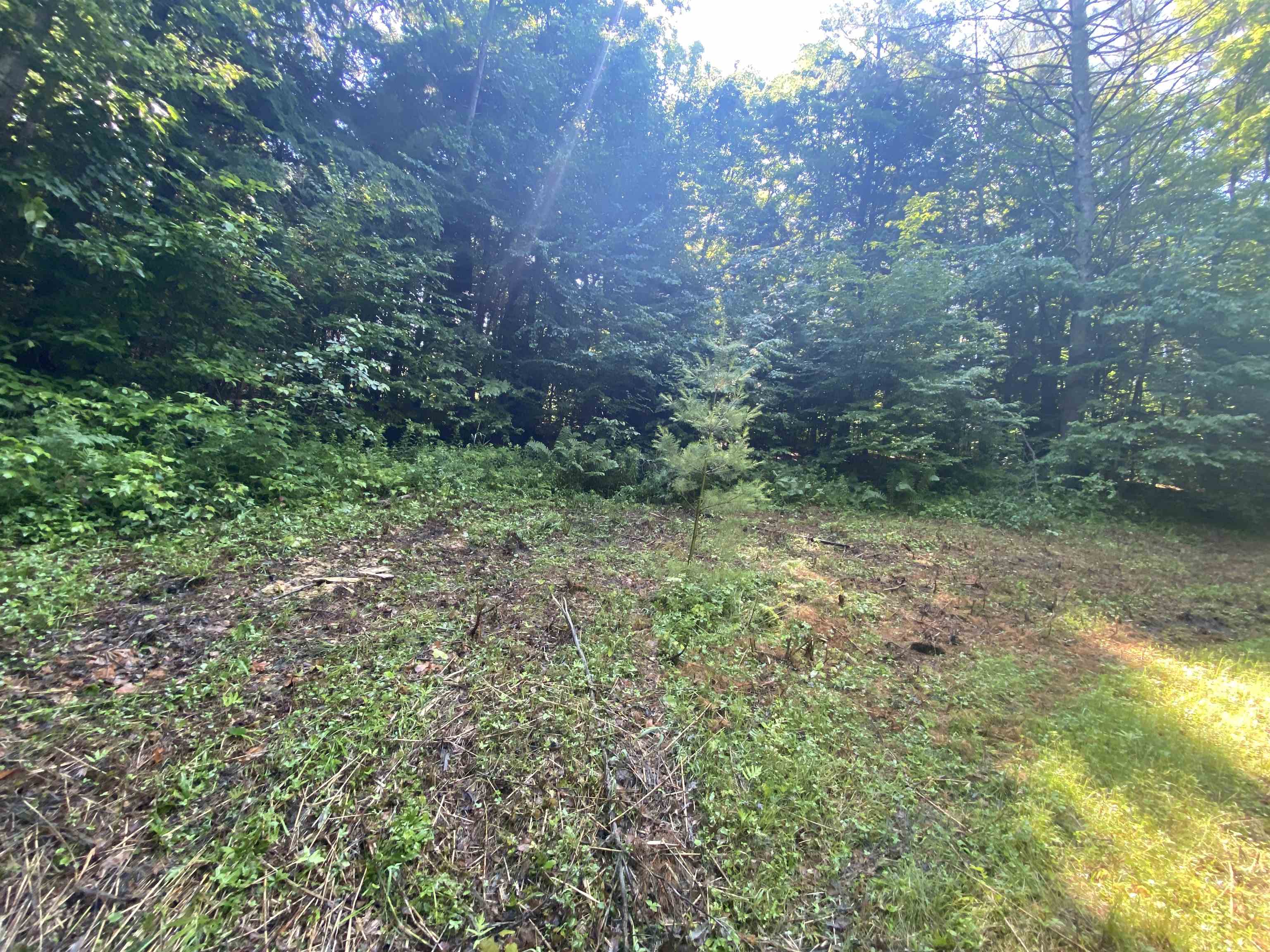 Photo of 000 Russ Hill Road Royalton VT 05068