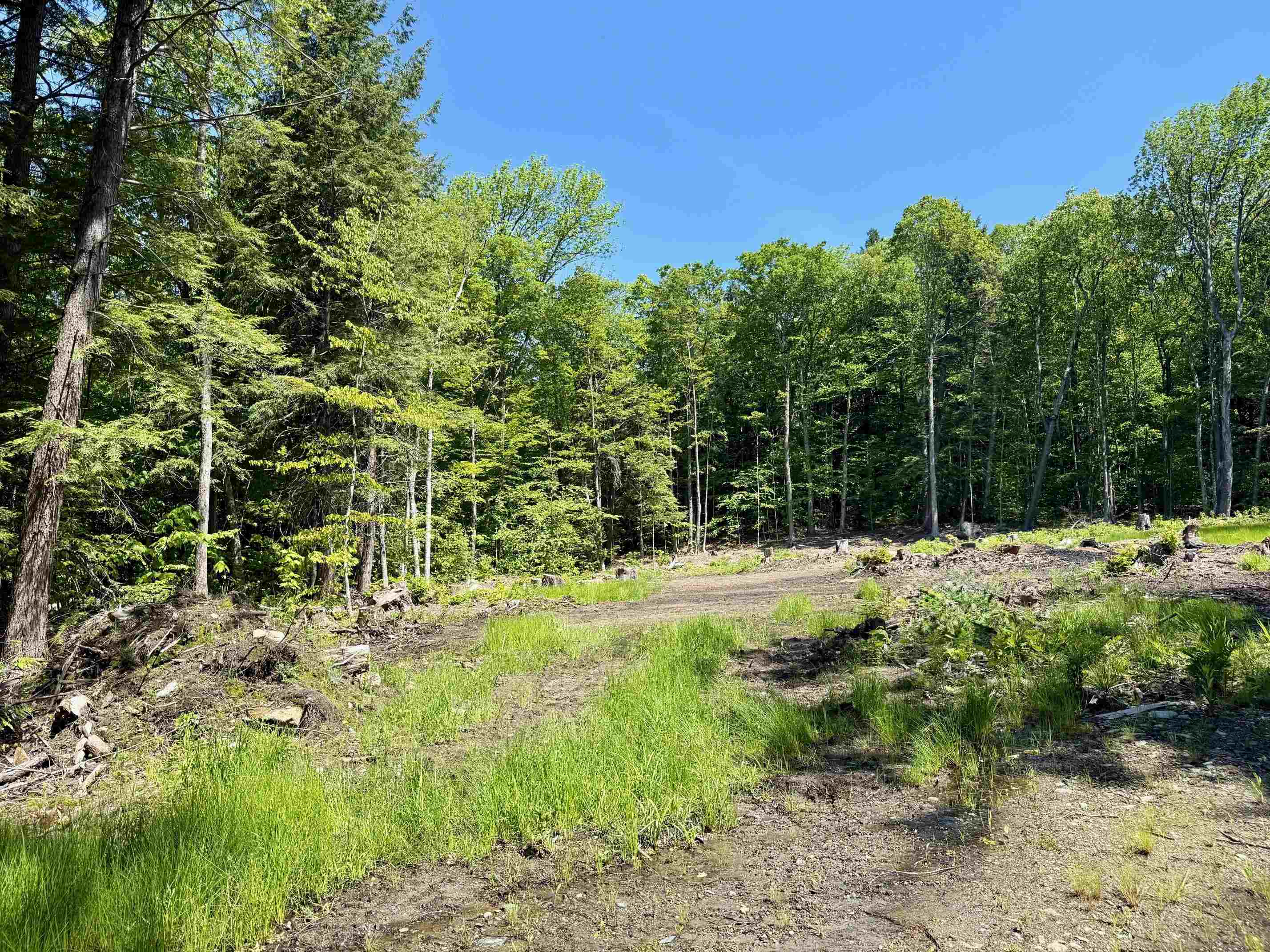 Wardsboro VT Land for sale $65,000 | 2 Acres  | Price Per Acre $0 