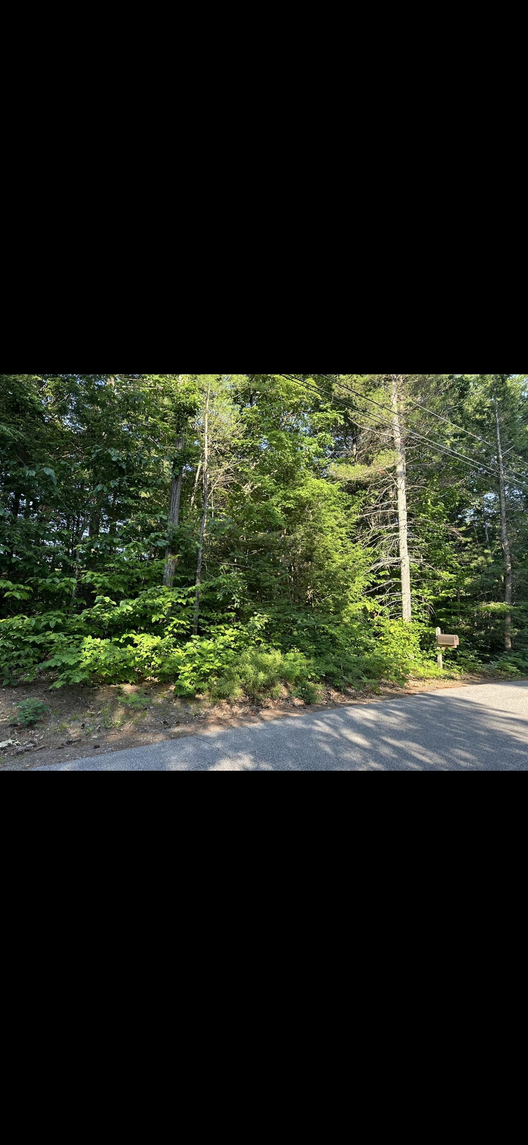 MLS #5003560 image #0