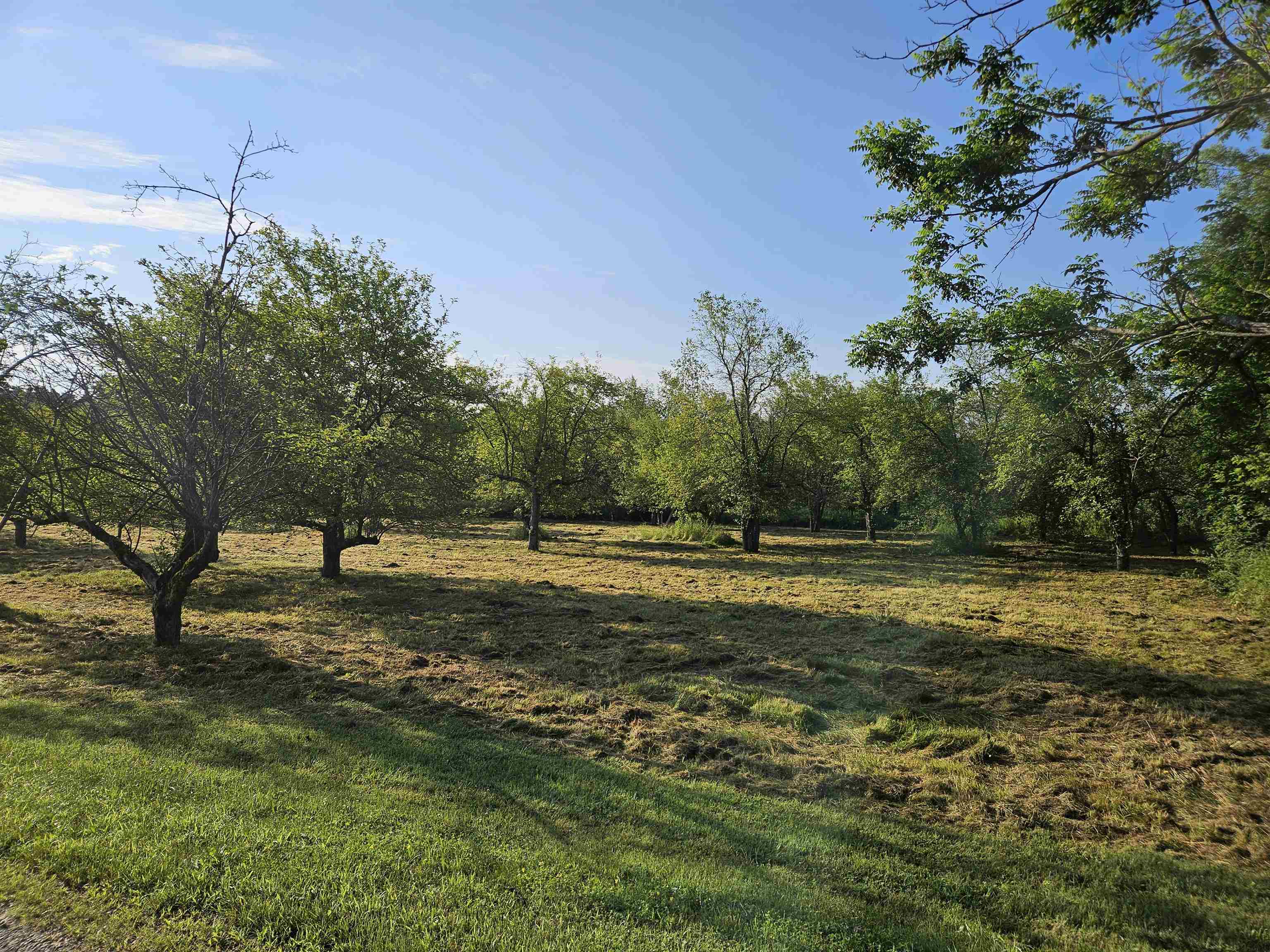 Photo of TBD N. Bingham Street Cornwall VT 05753