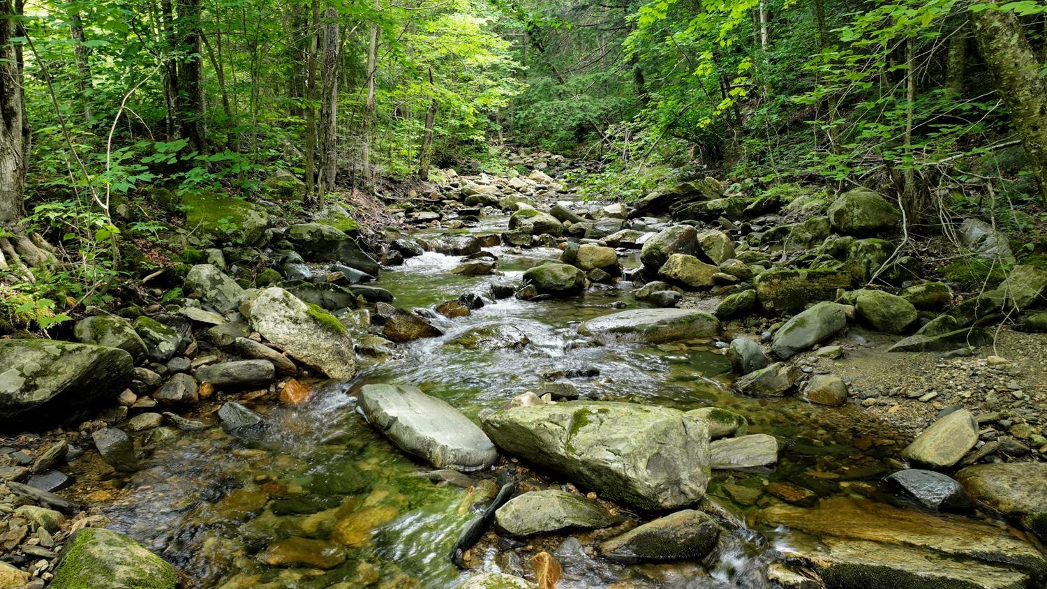 Spring is a time for change and with this significant price reduction, this property will likely change hands. Are you ready for a lifestyle change or a project to get you enjoying the outdoors? This Weston parcel borders Okemo State Forest - 33.5 Acres of Vermont is waiting for your cabin...or perhaps you have a tiny house design in mind or more? Enjoy this land as it is. Come up for the weekend and park your car and hike in for some camping to take in the clean Vermont air. The current owners are willing to share their vision for this beautiful lot and they have begun research with an engineer. This parcel has over 2,000 feet of stream frontage on a branch of the West River. The driveway is roughed in,  power is on site, and there is a level spot to camp while you build.  Just a few minutes to the quintessential village of Weston with the Country Store and other shops, the Weston Theatre, the Priory, and a few minutes to Okemo and Ludlow in the other direction. Centrally located with easy access to Bromley, Stratton, and Magic, shopping in Manchester, swimming, hiking and all that Vermont has to offer.  Mowed access allows a car to drive into lot.  Property is in Current Use thus the low taxes.
