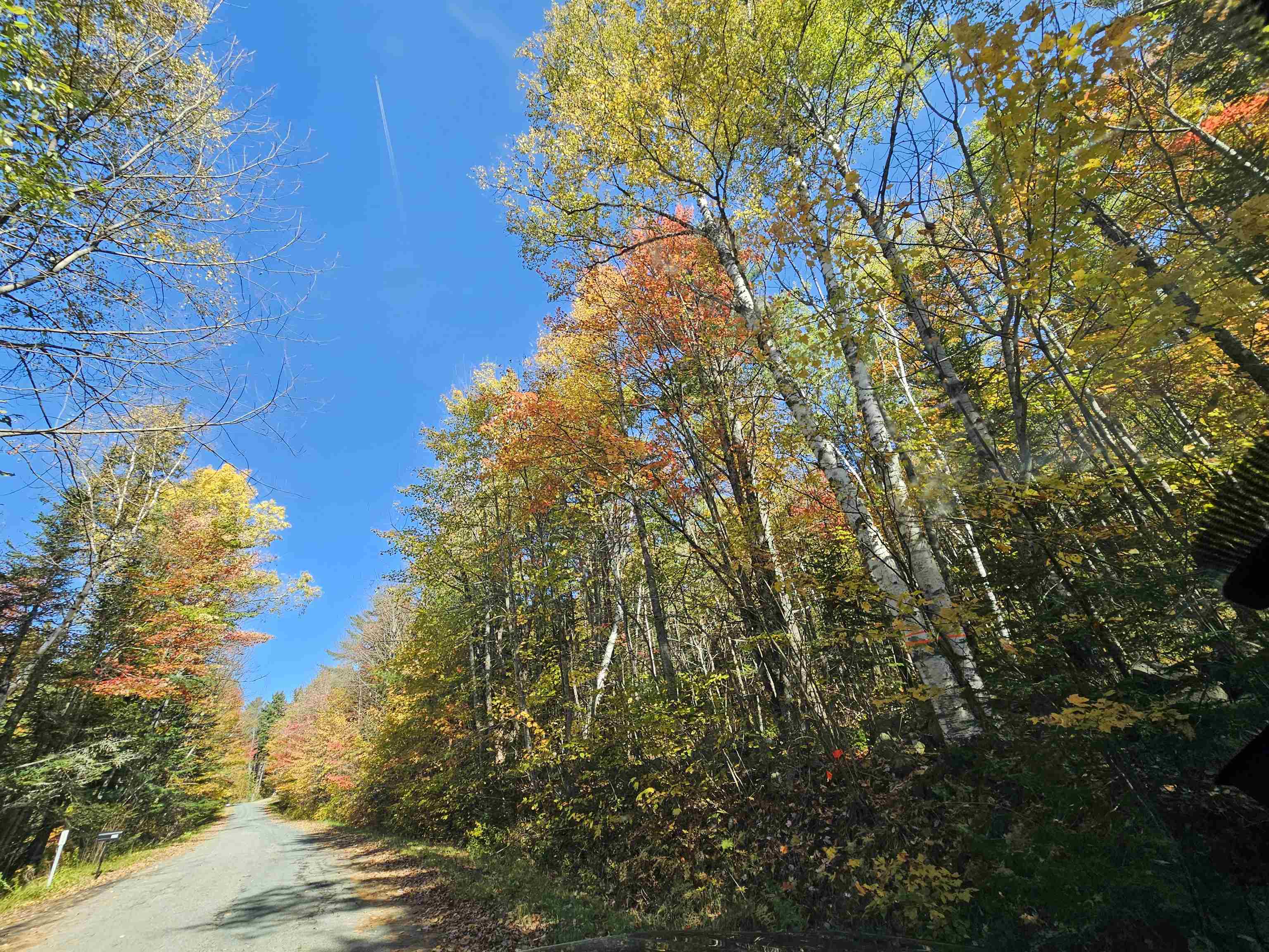 Photo of Lot 6 Mount Cleveland Road Bethlehem NH 03574