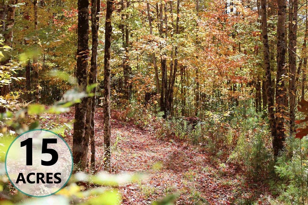 Waterford VT Land for sale $150,000 | 15 Acres  | Price Per Acre $0  | Total Lots 3