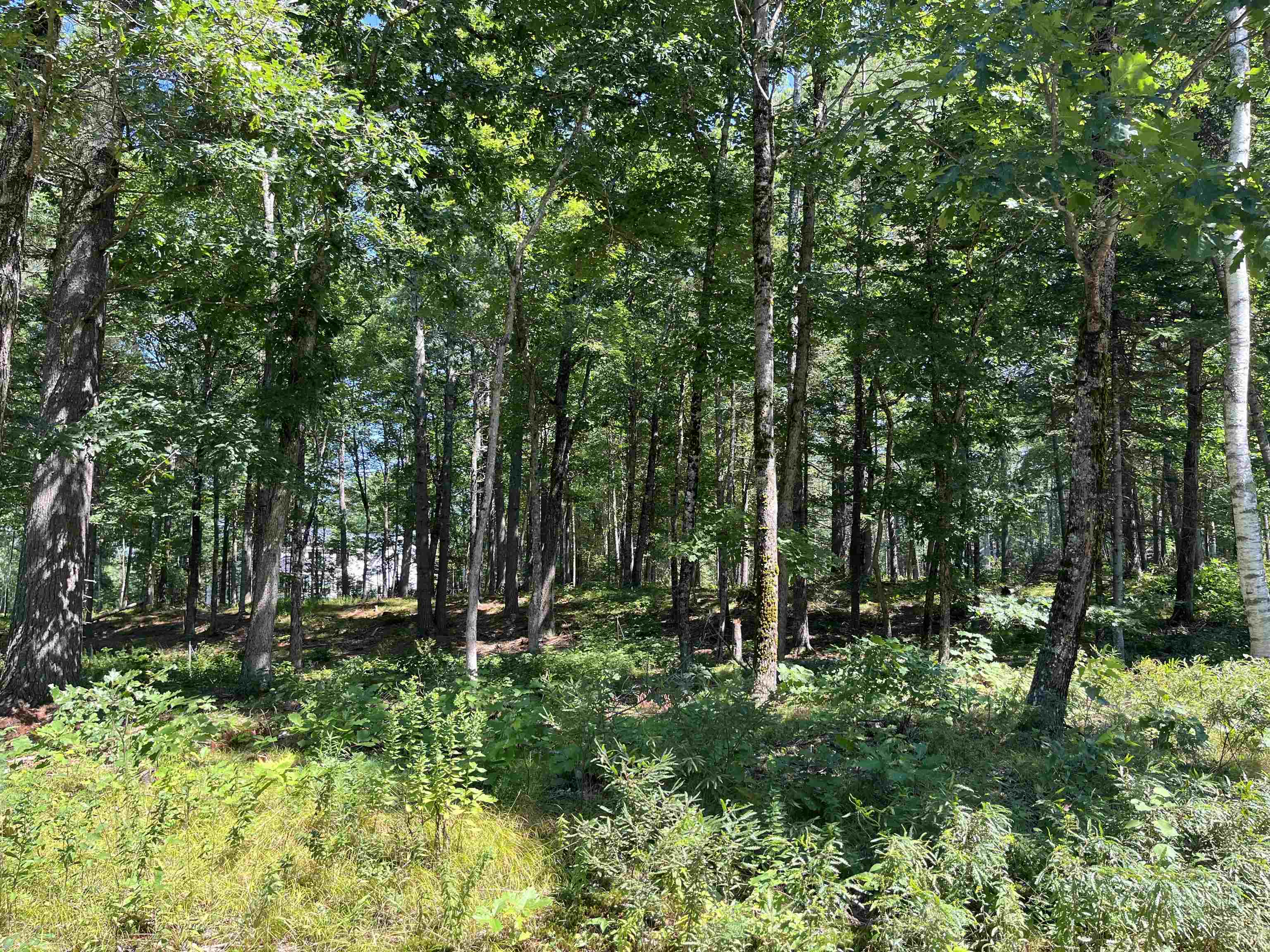 MLS #5009427 image #18