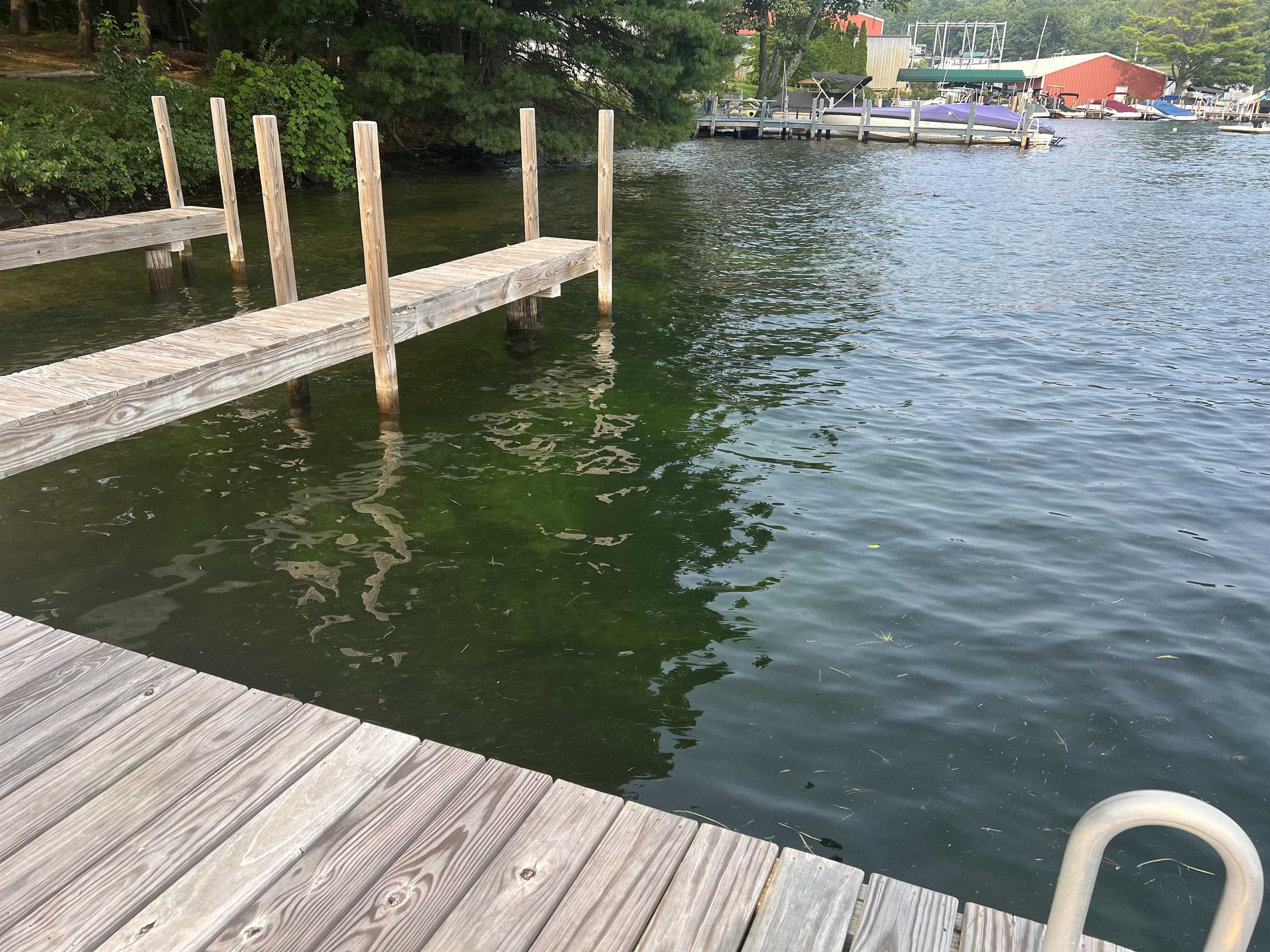 MLS #5010229 image #7