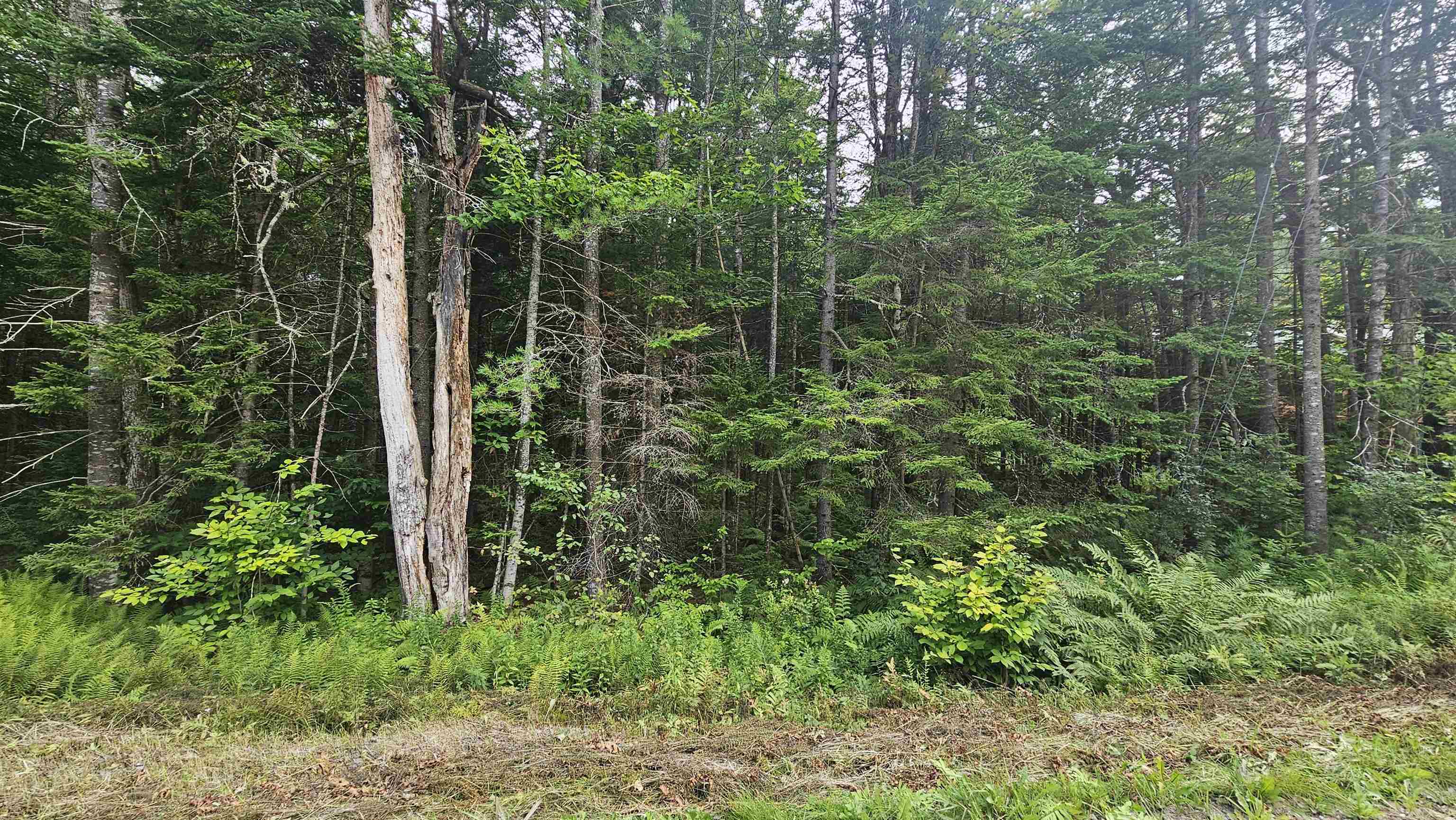 Photo of M14 L271 Lincoln Drive Washington NH 03280