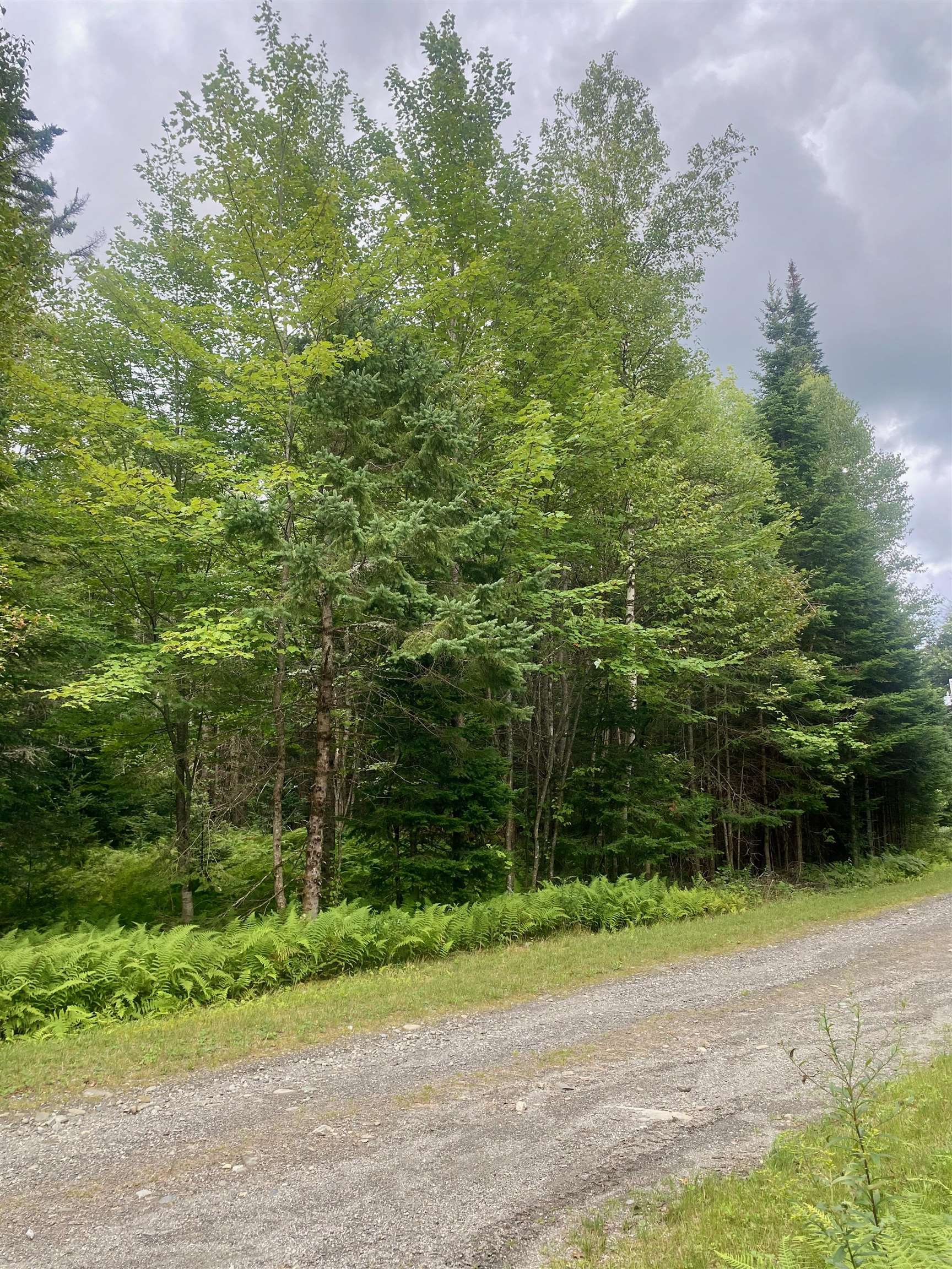 Photo of B4-L18 Moose Muck Road Pittsburg NH 03592