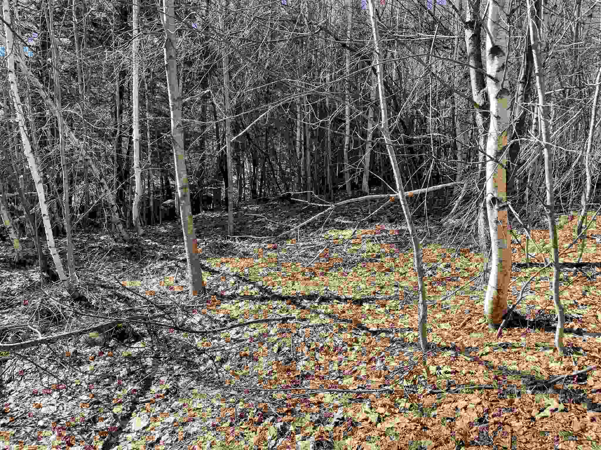 MLS #5010574 image #1