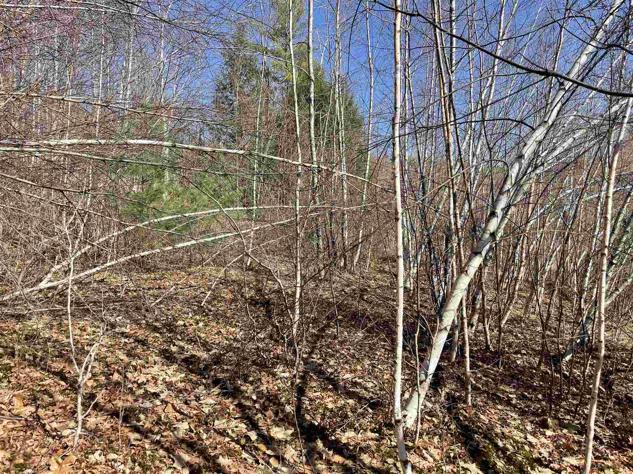 MLS #5010574 image #10