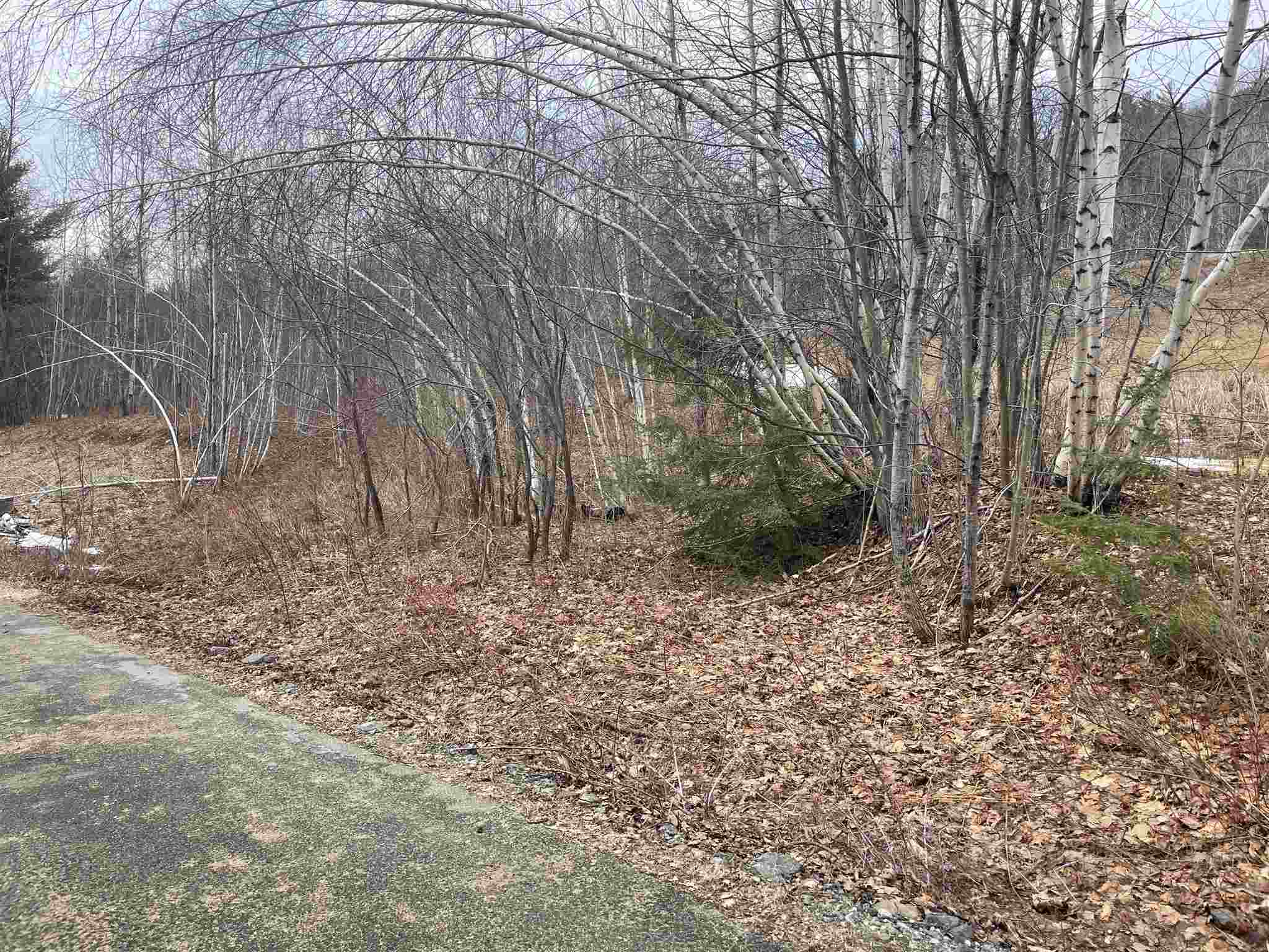 MLS #5010574 image #13