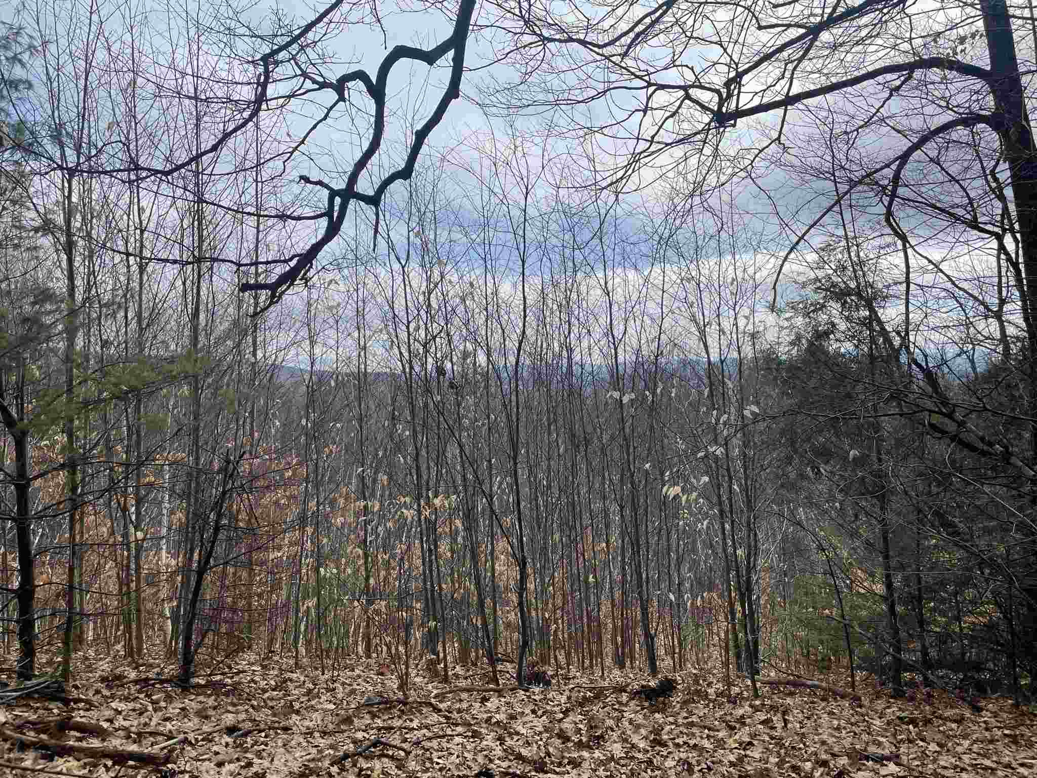 MLS #5010574 image #16