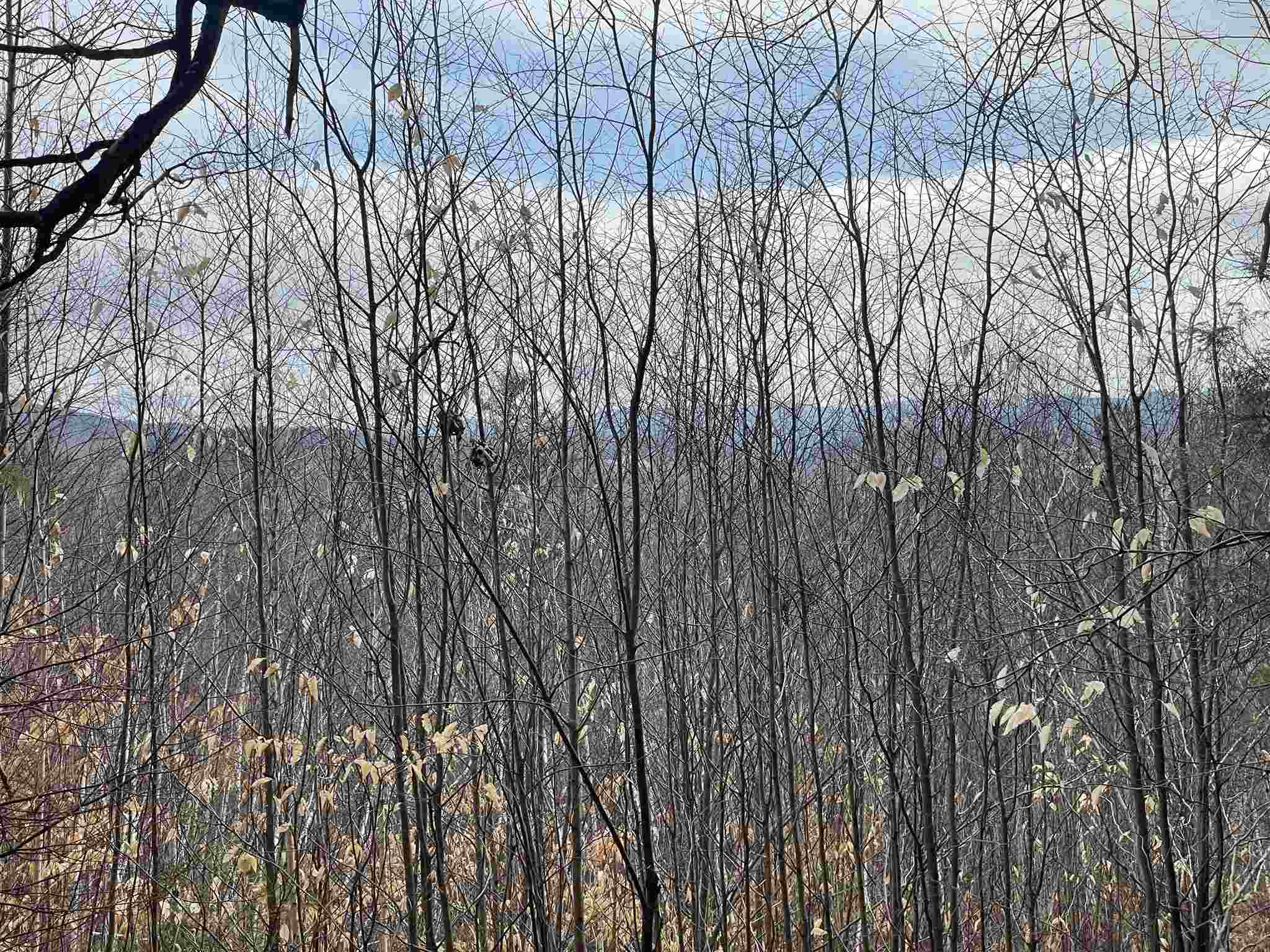 MLS #5010574 image #17