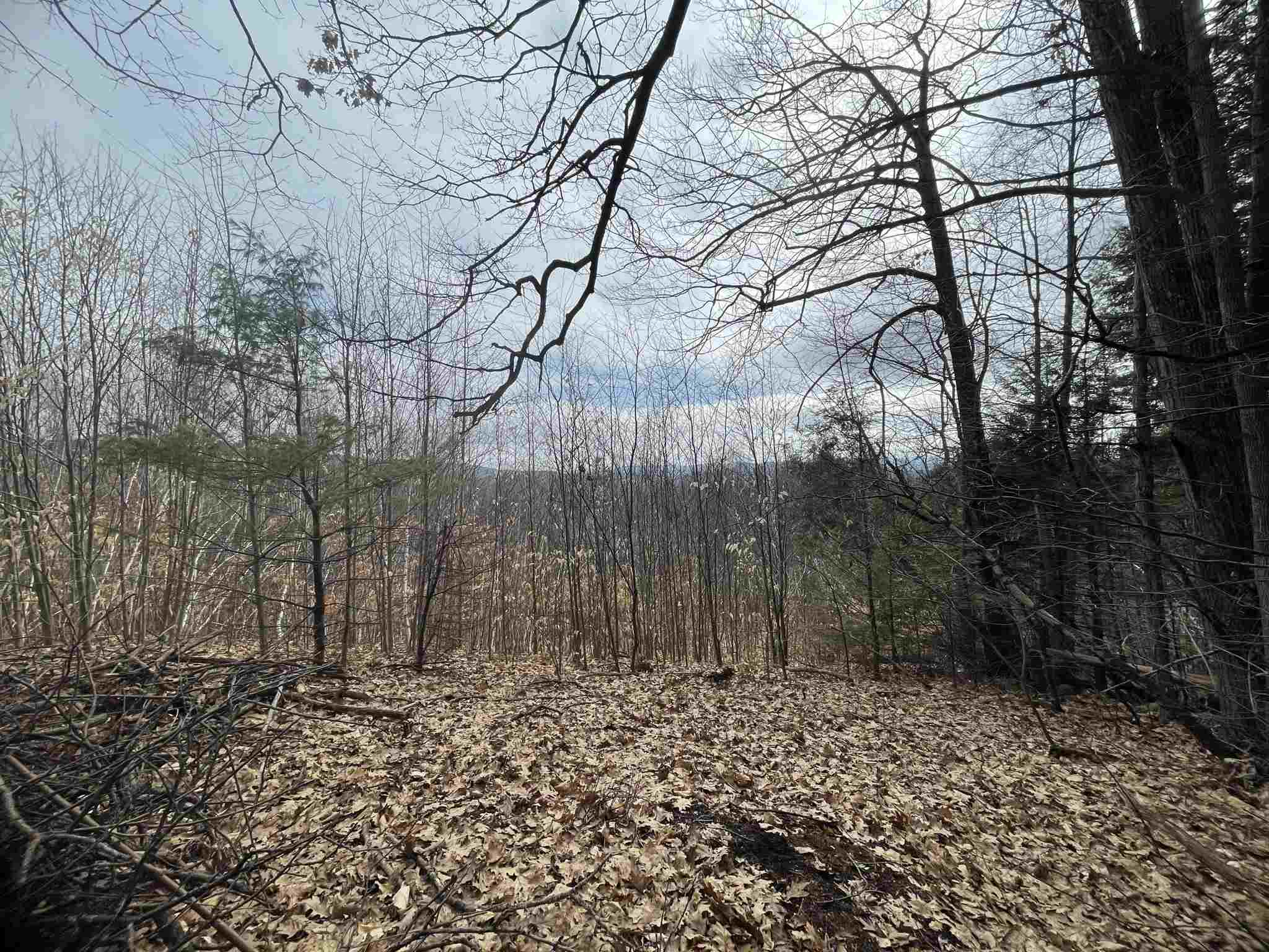 MLS #5010574 image #18