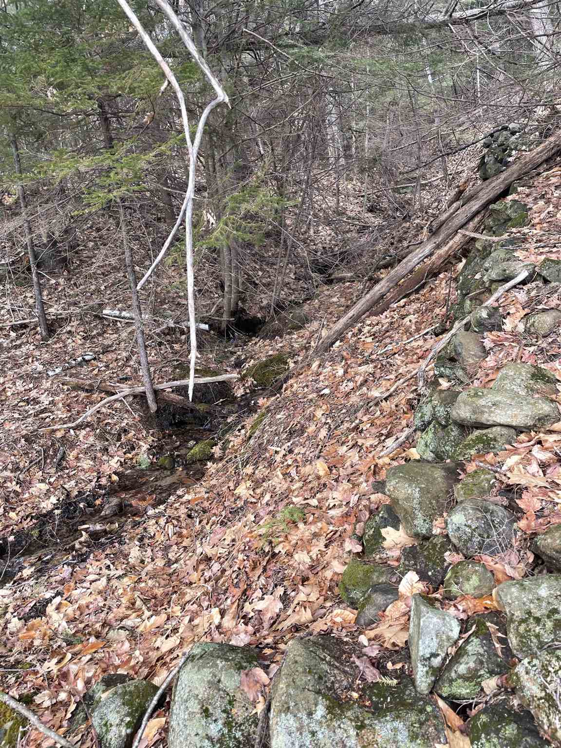 MLS #5010574 image #19