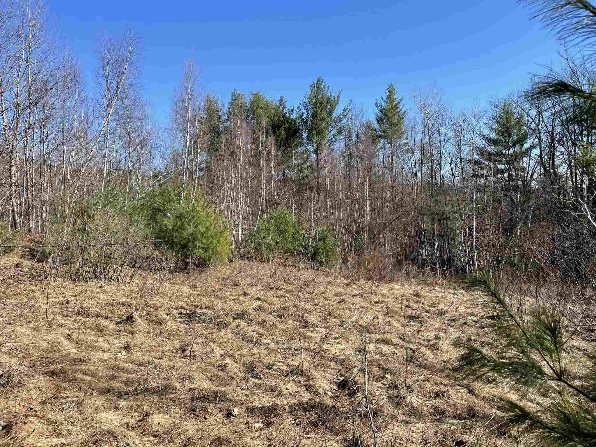 MLS #5010574 image #2