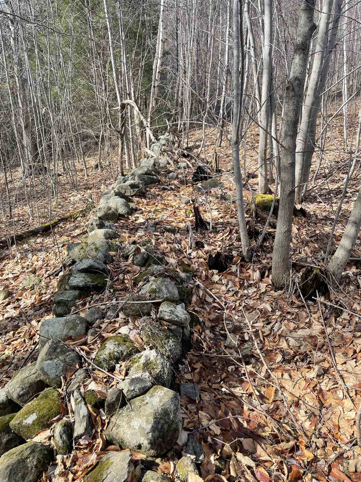 MLS #5010574 image #20