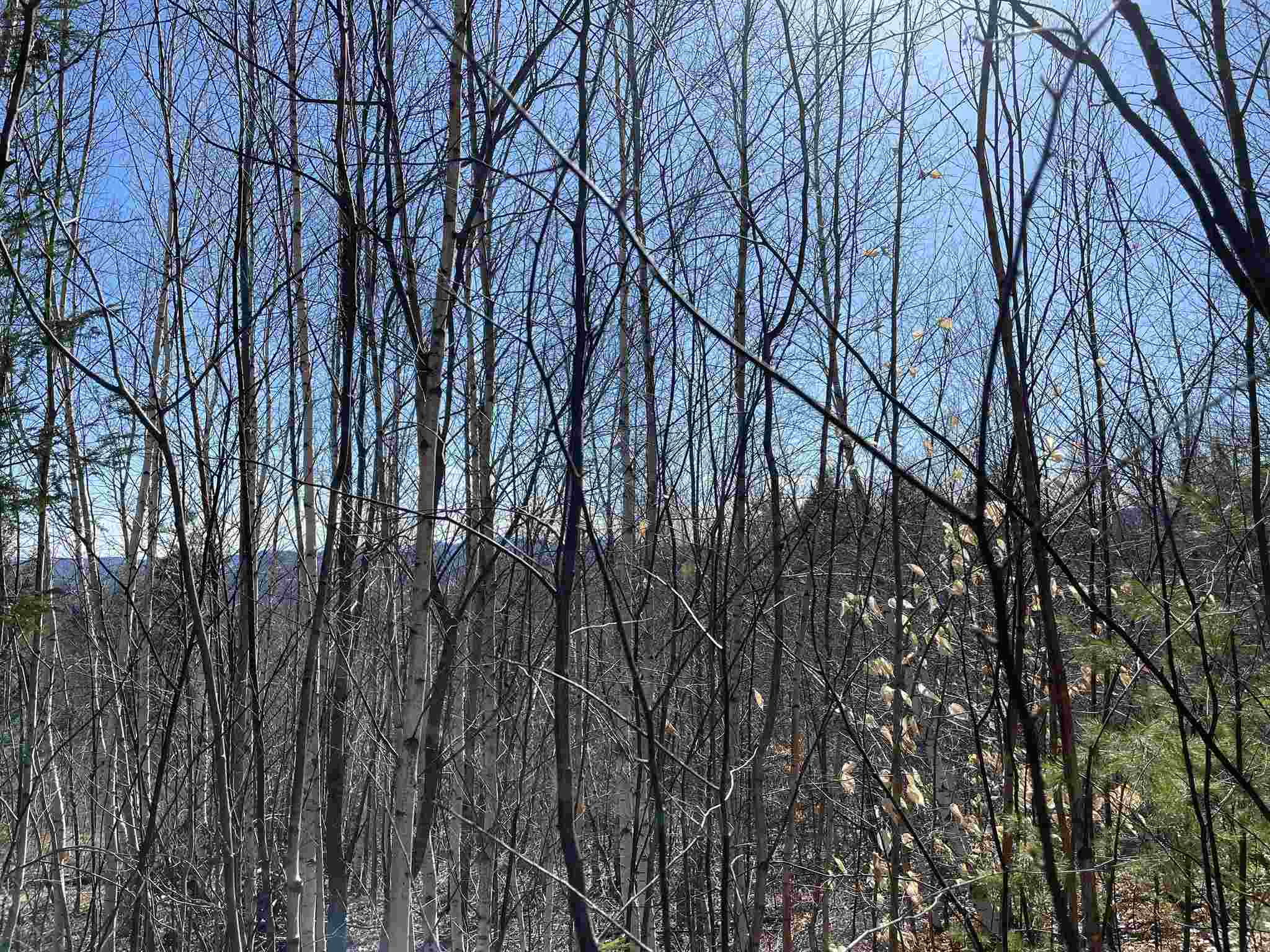 MLS #5010574 image #4