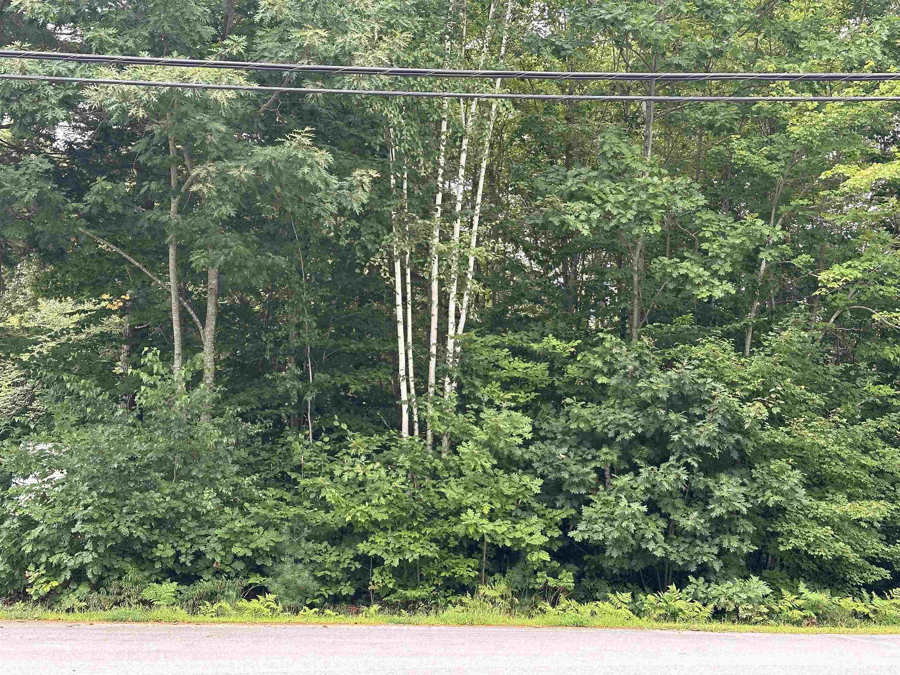 Photo of Lakeshore Drive Middleton NH 03887