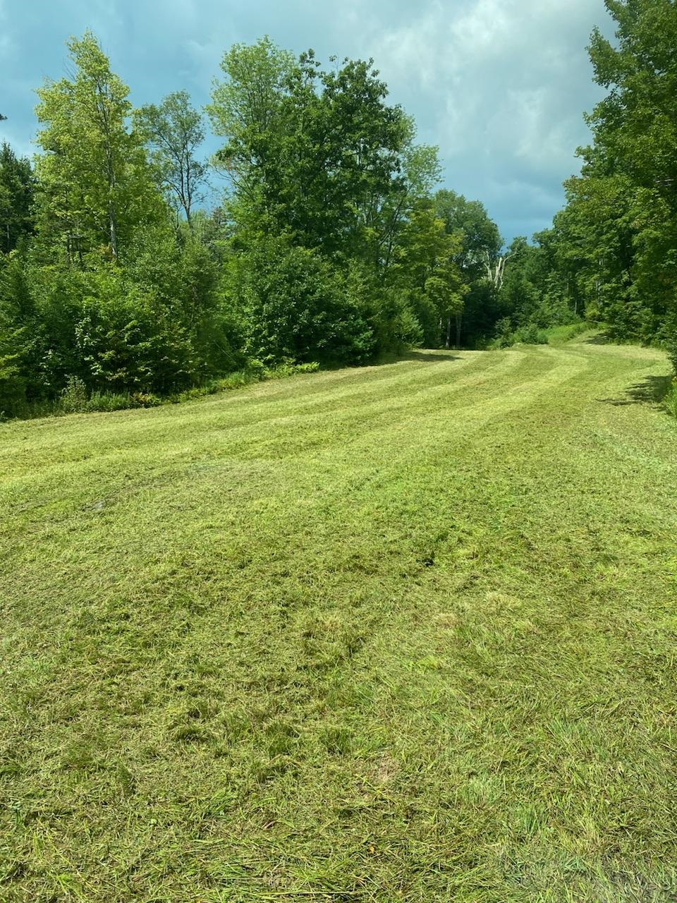 Photo of Lower Dover Road Marlboro VT 05344