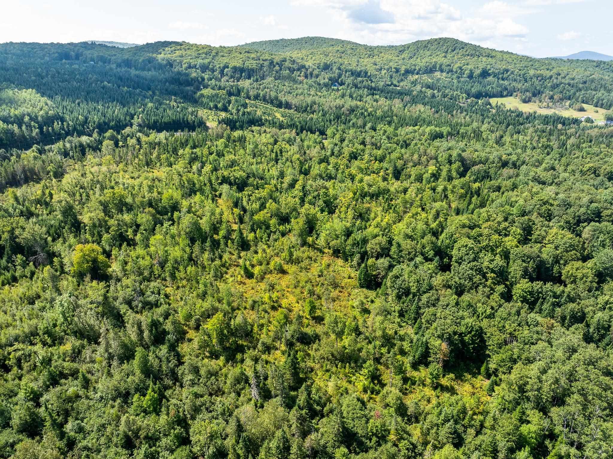 MLS #5011891 image #10