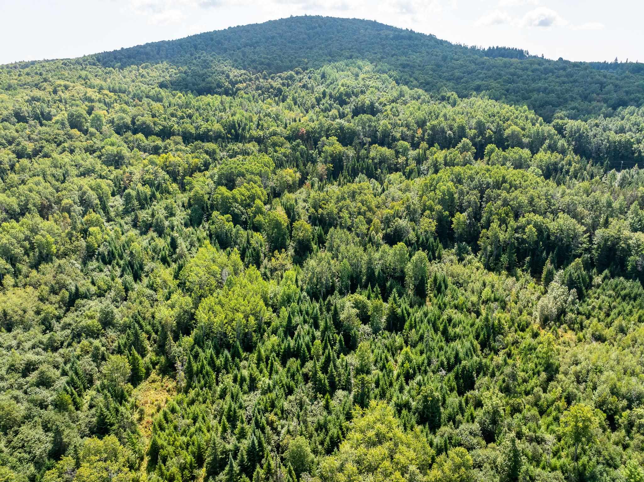 MLS #5011891 image #11