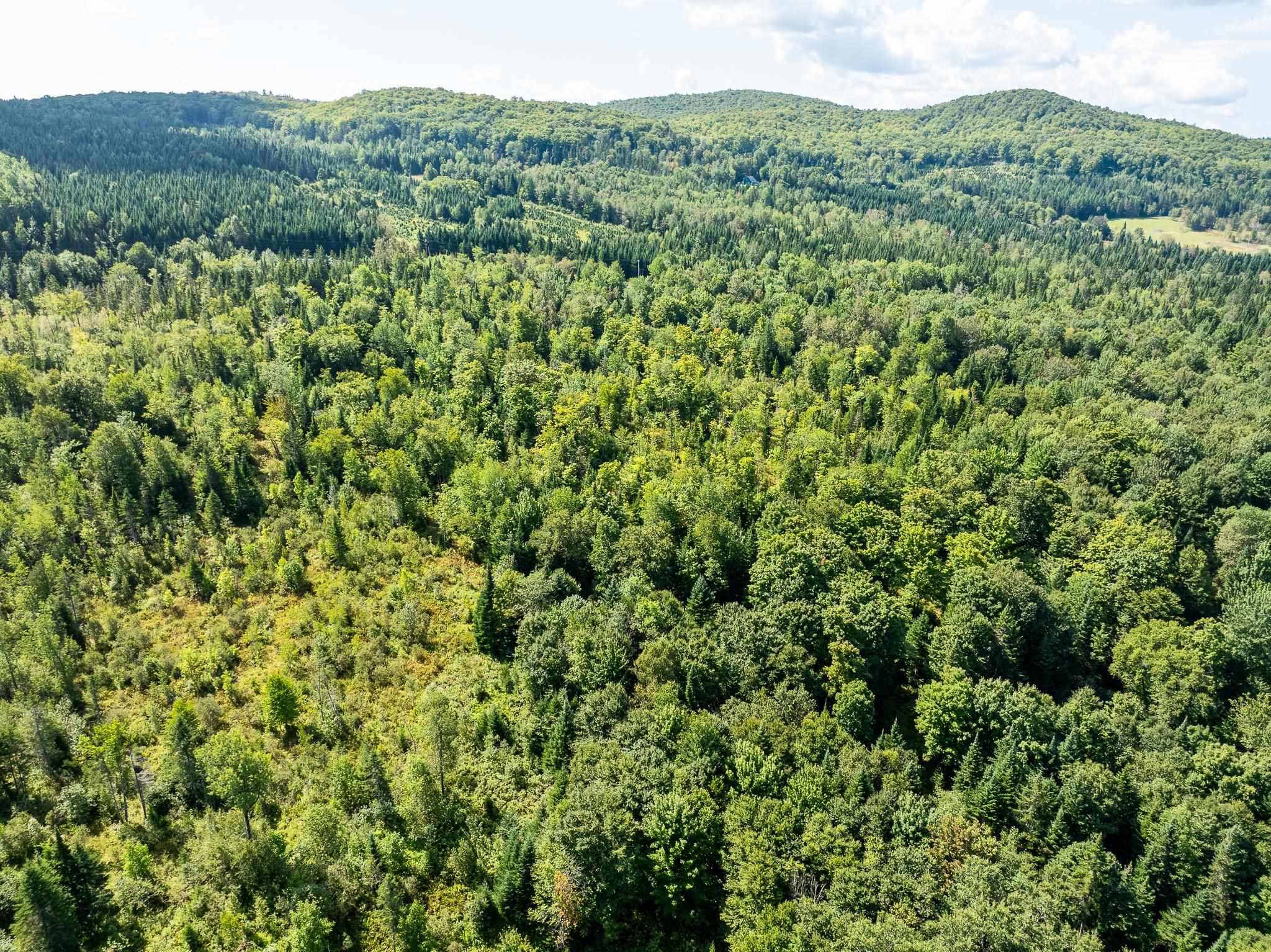 MLS #5011891 image #12