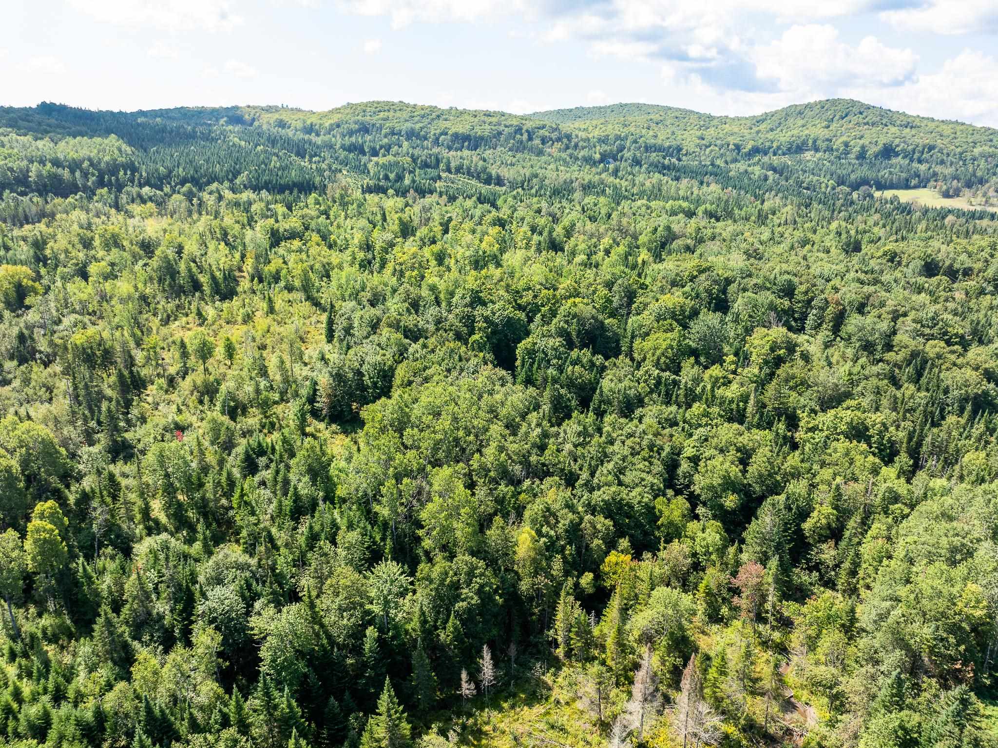 MLS #5011891 image #13