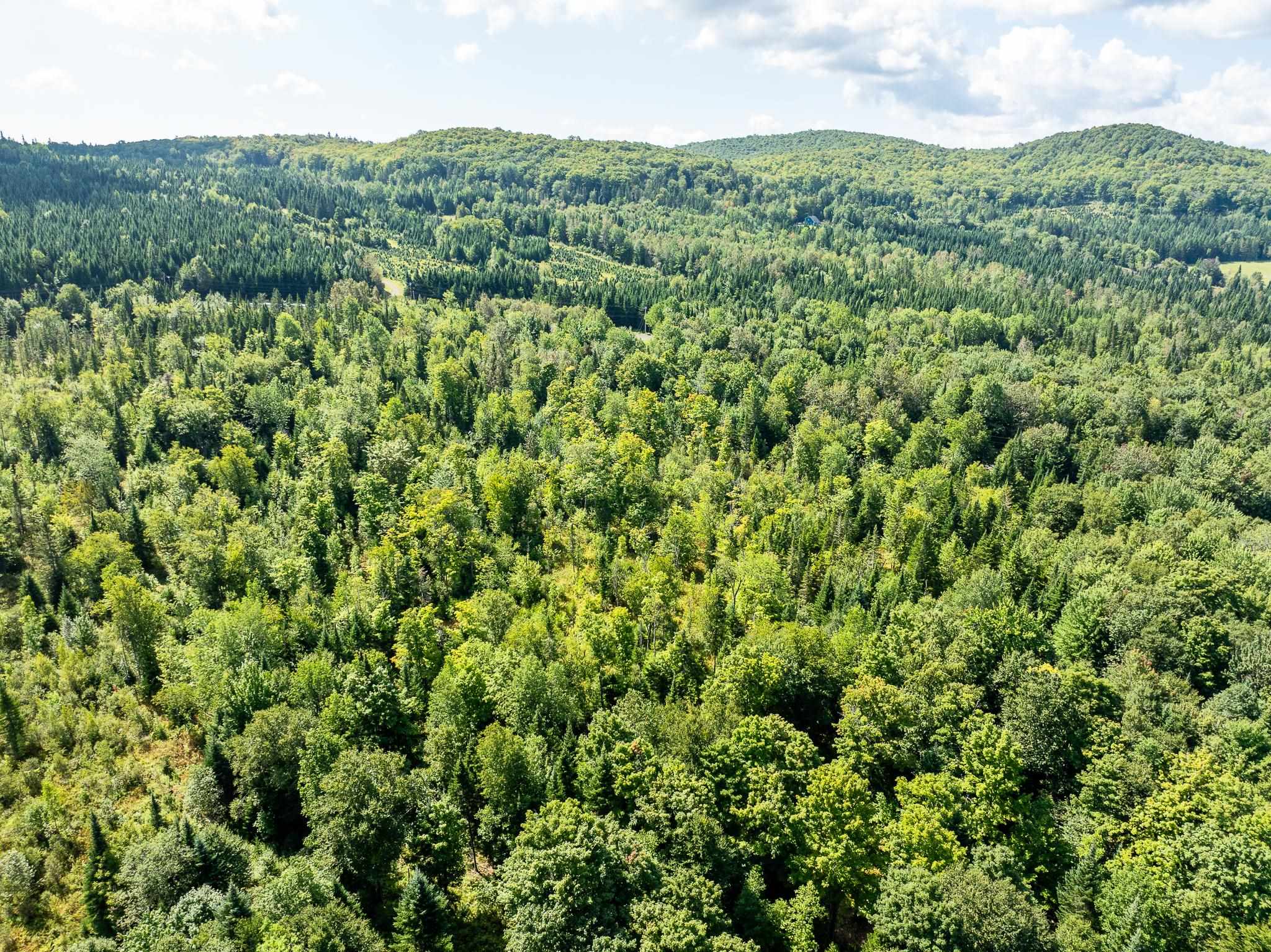 MLS #5011891 image #14