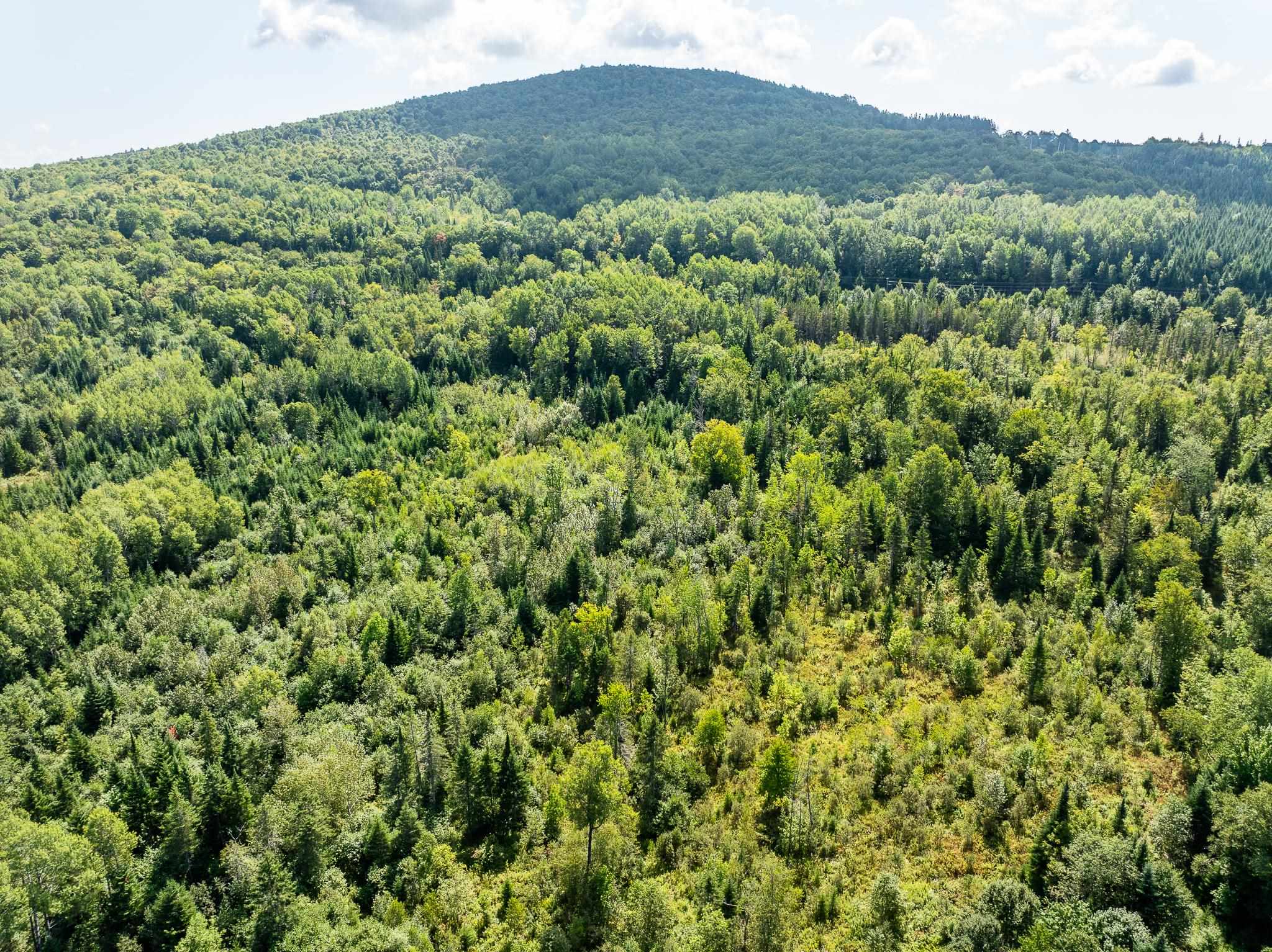 MLS #5011891 image #15