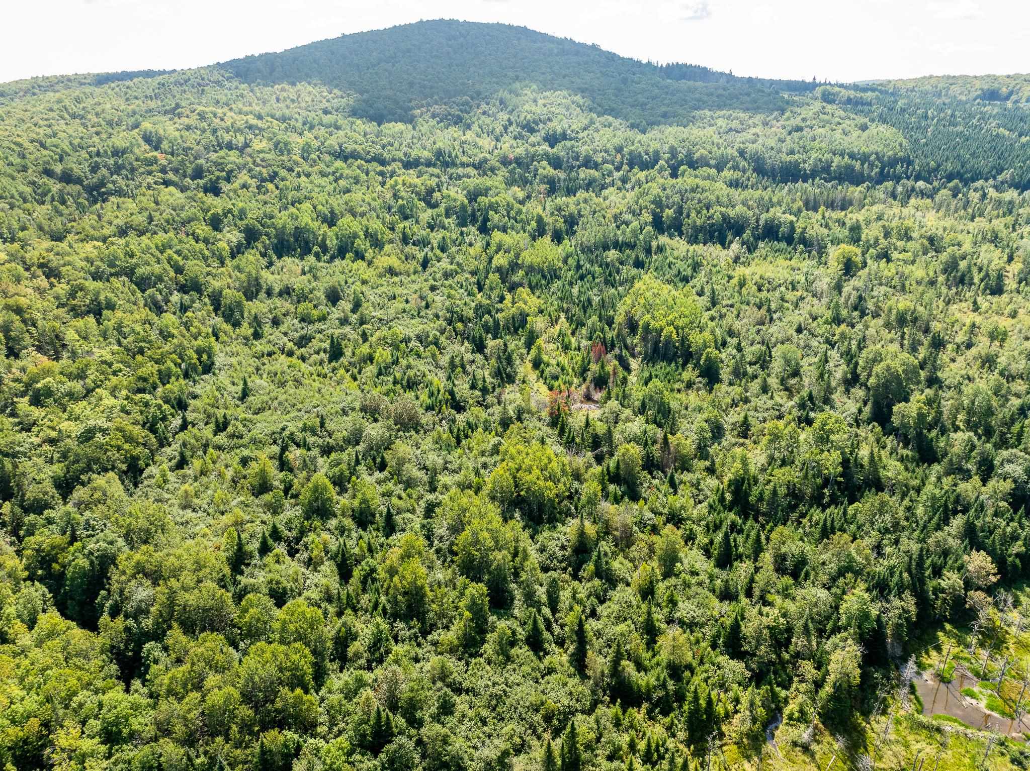 MLS #5011891 image #17