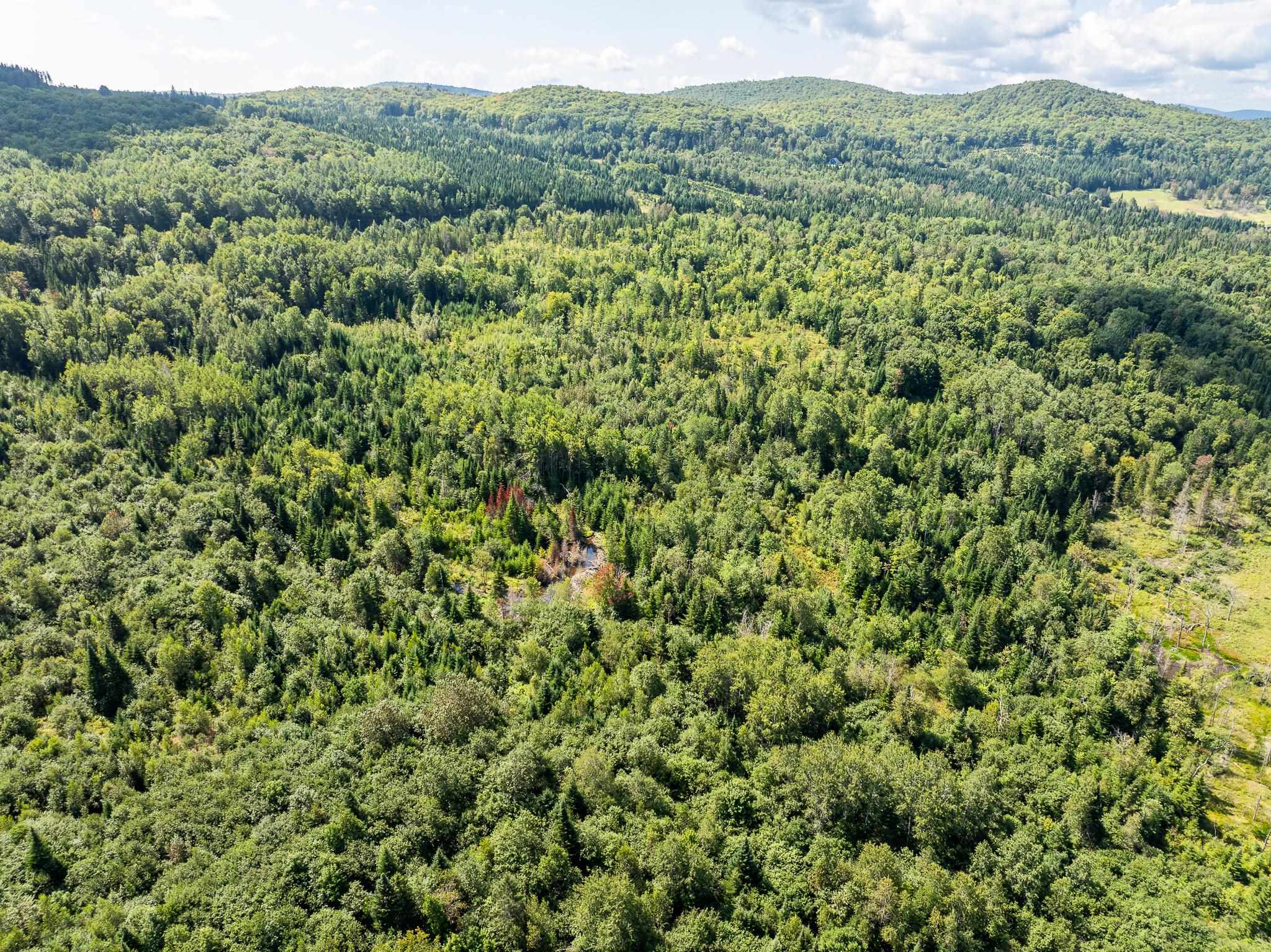 MLS #5011891 image #18