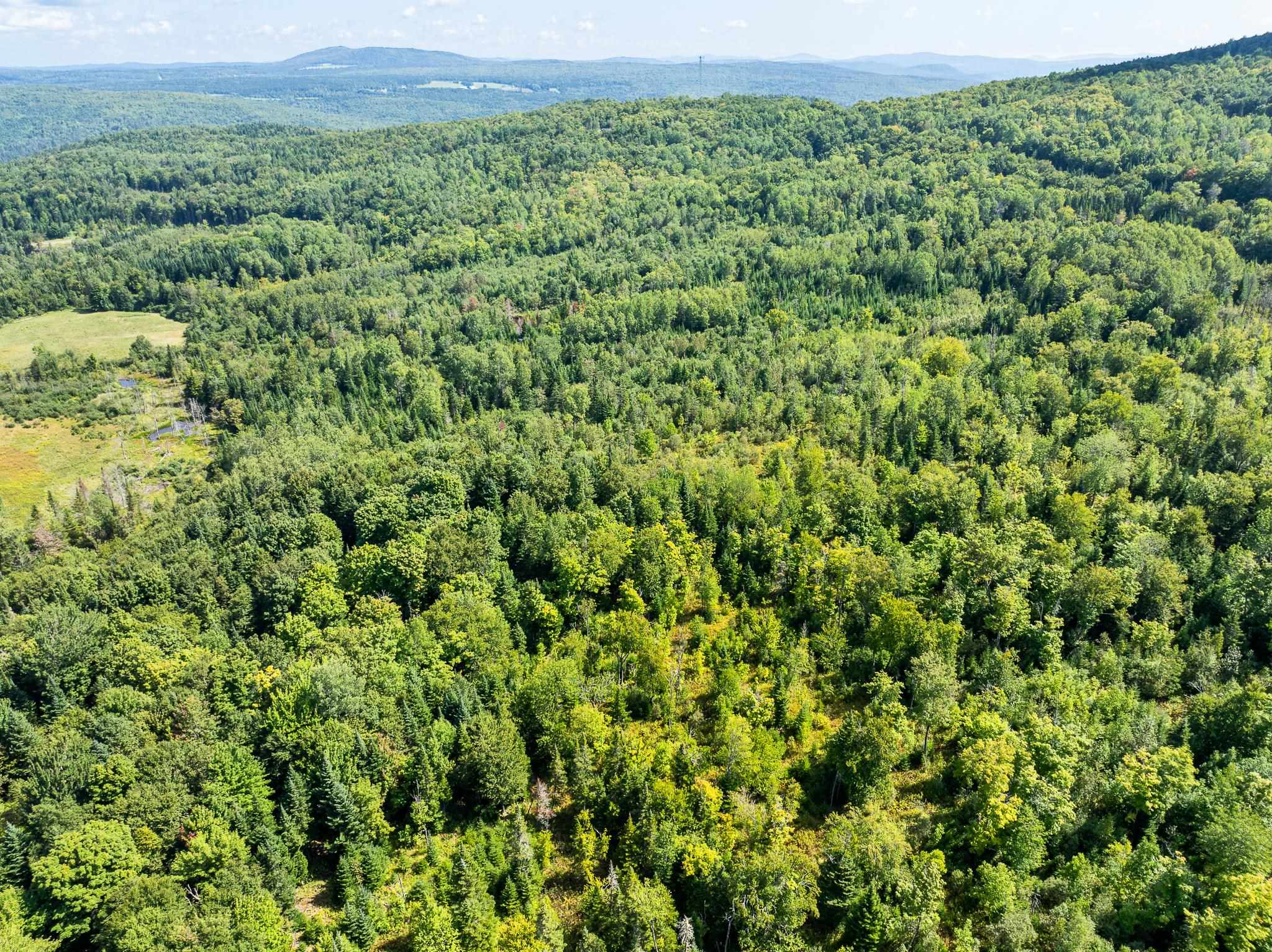 MLS #5011891 image #19