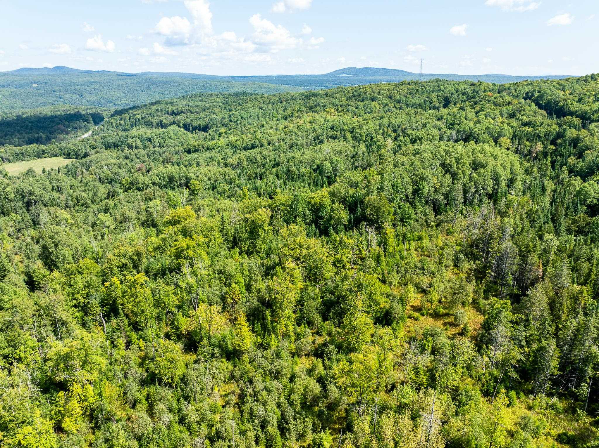 MLS #5011891 image #25