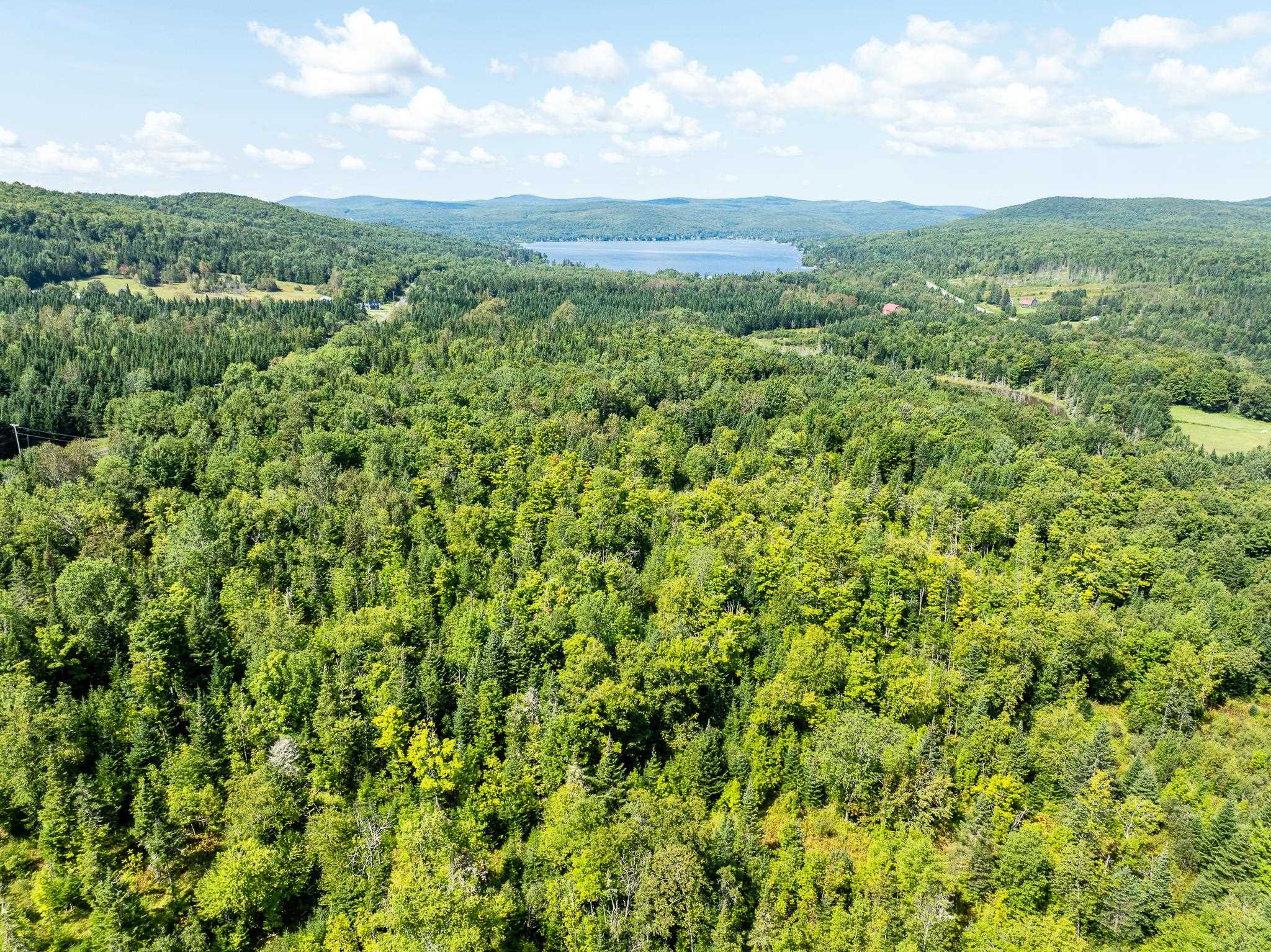 MLS #5011891 image #28