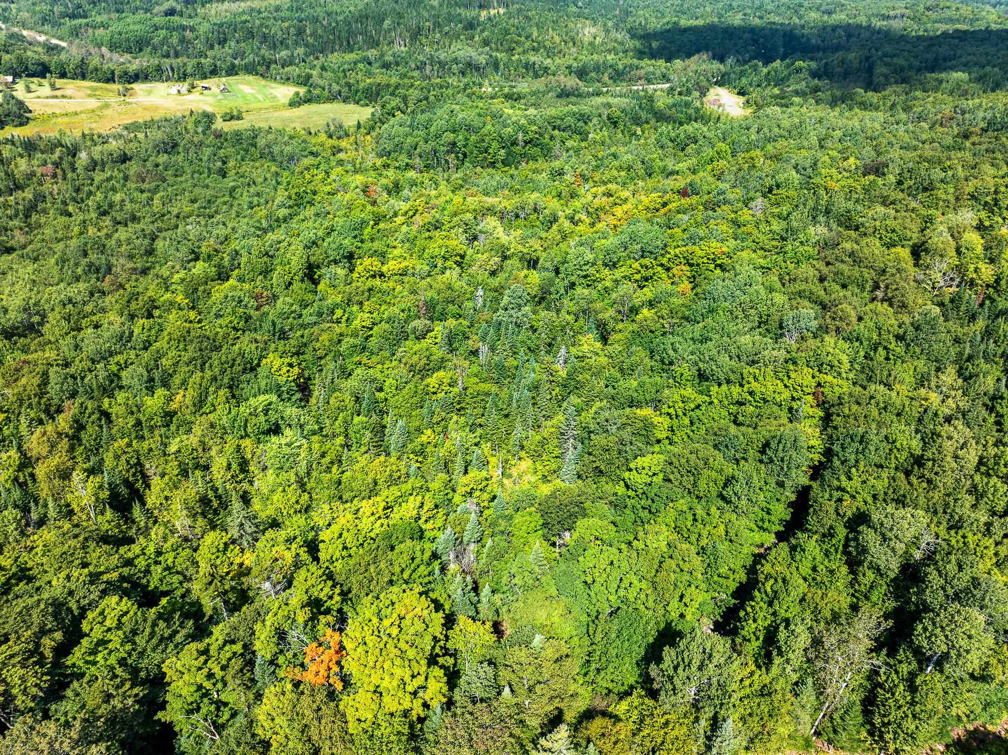 MLS #5011891 image #30