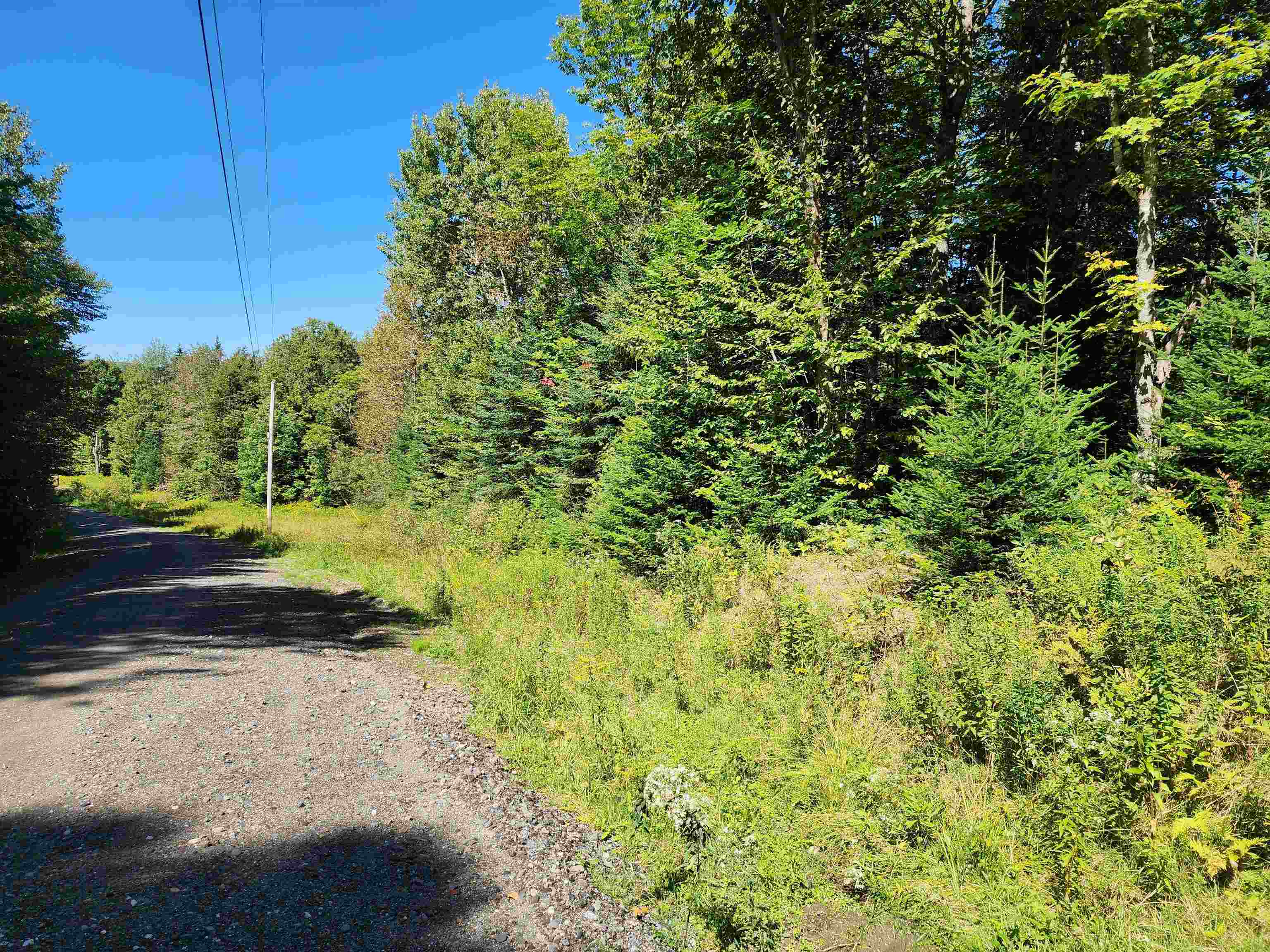 MLS #5011891 image #38