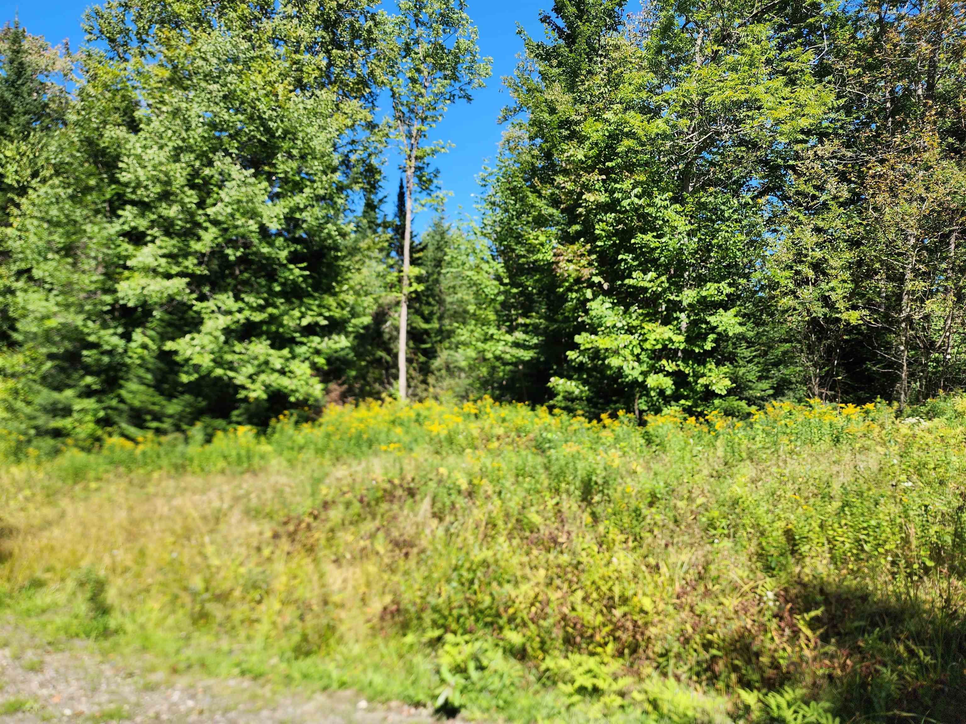 MLS #5011891 image #41