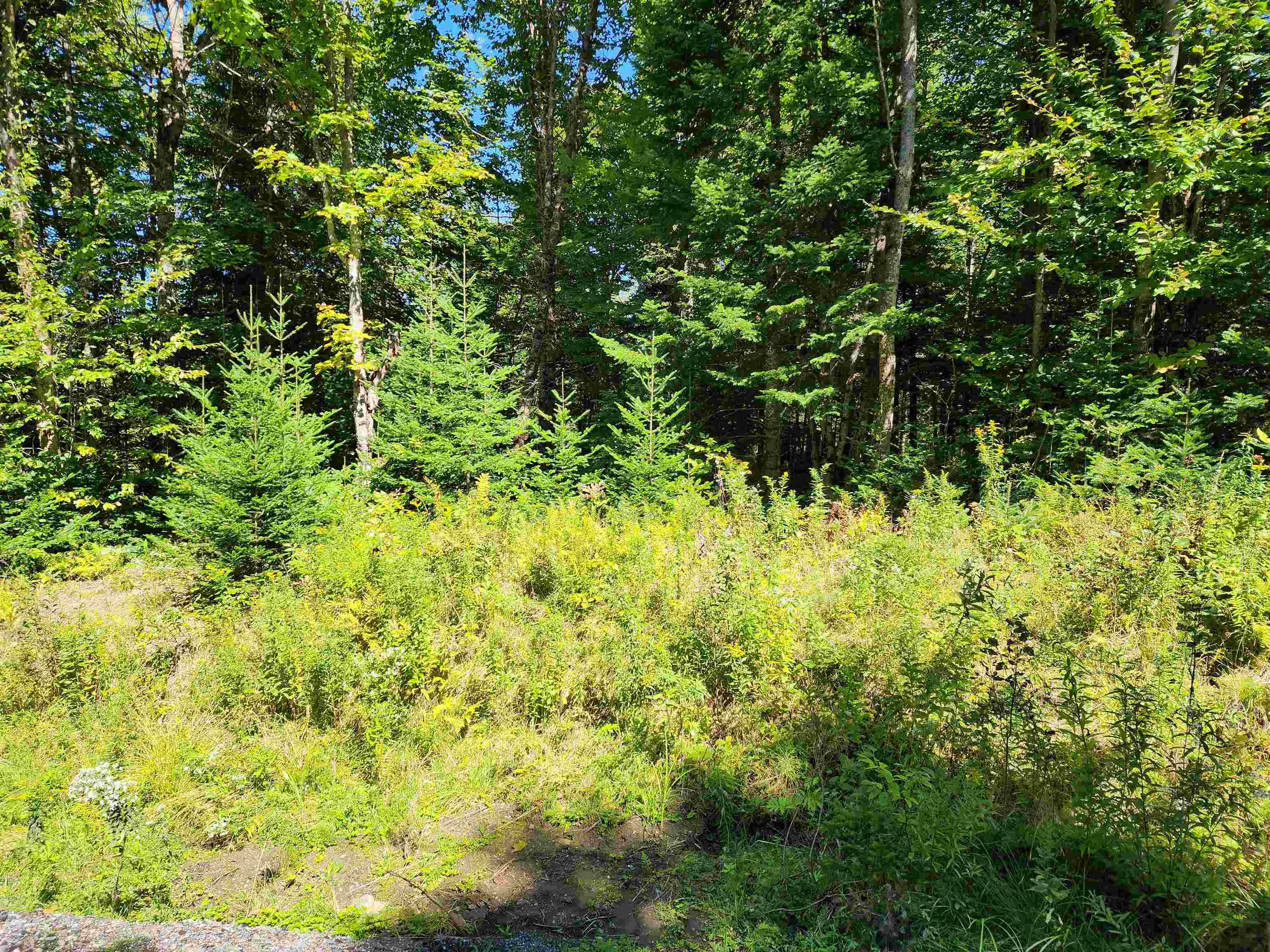 MLS #5011891 image #42