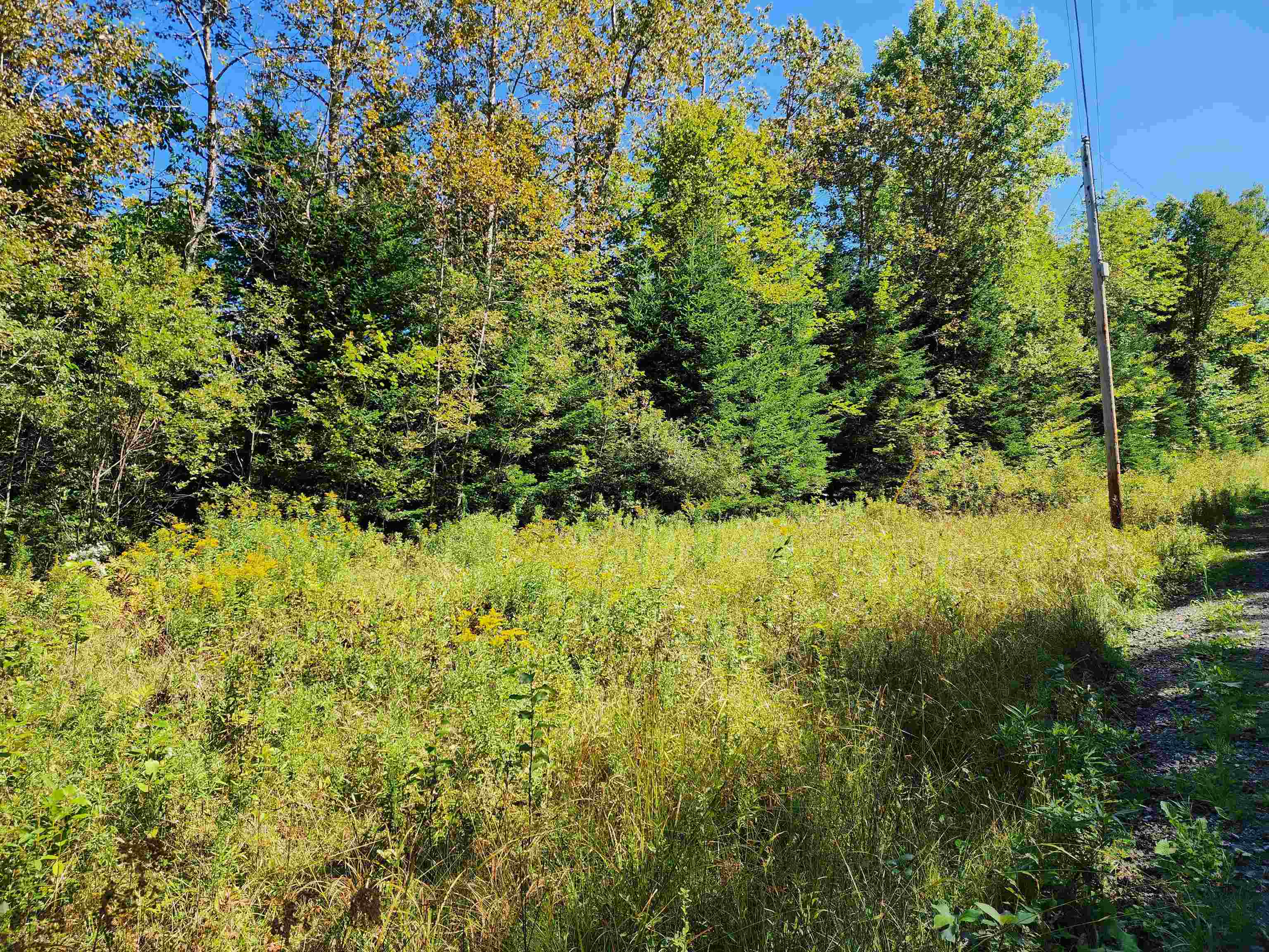 MLS #5011891 image #43