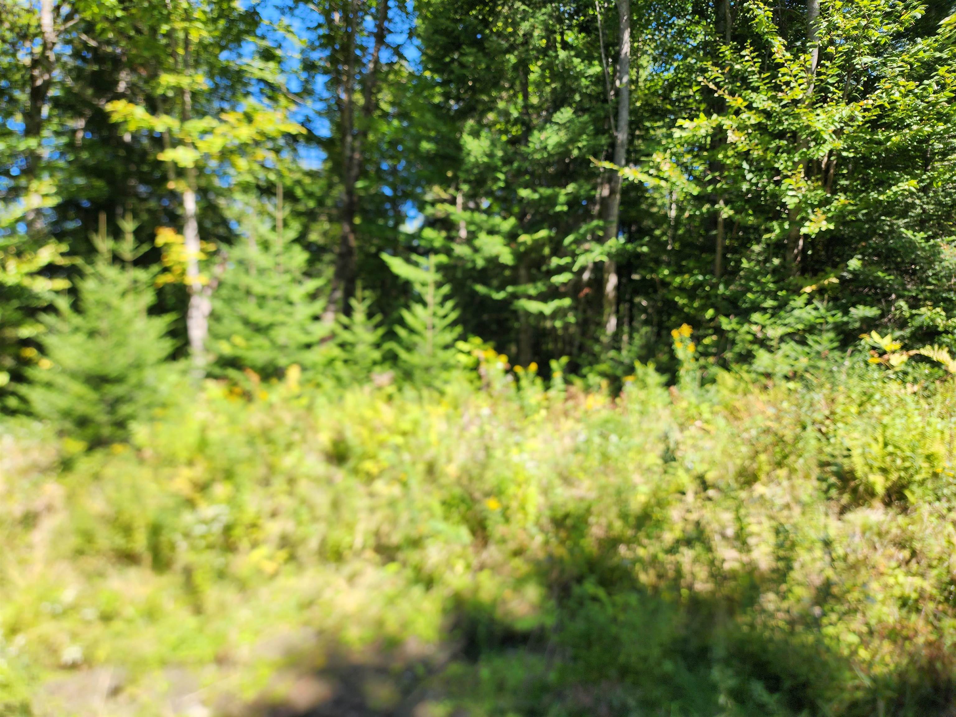 MLS #5011891 image #44