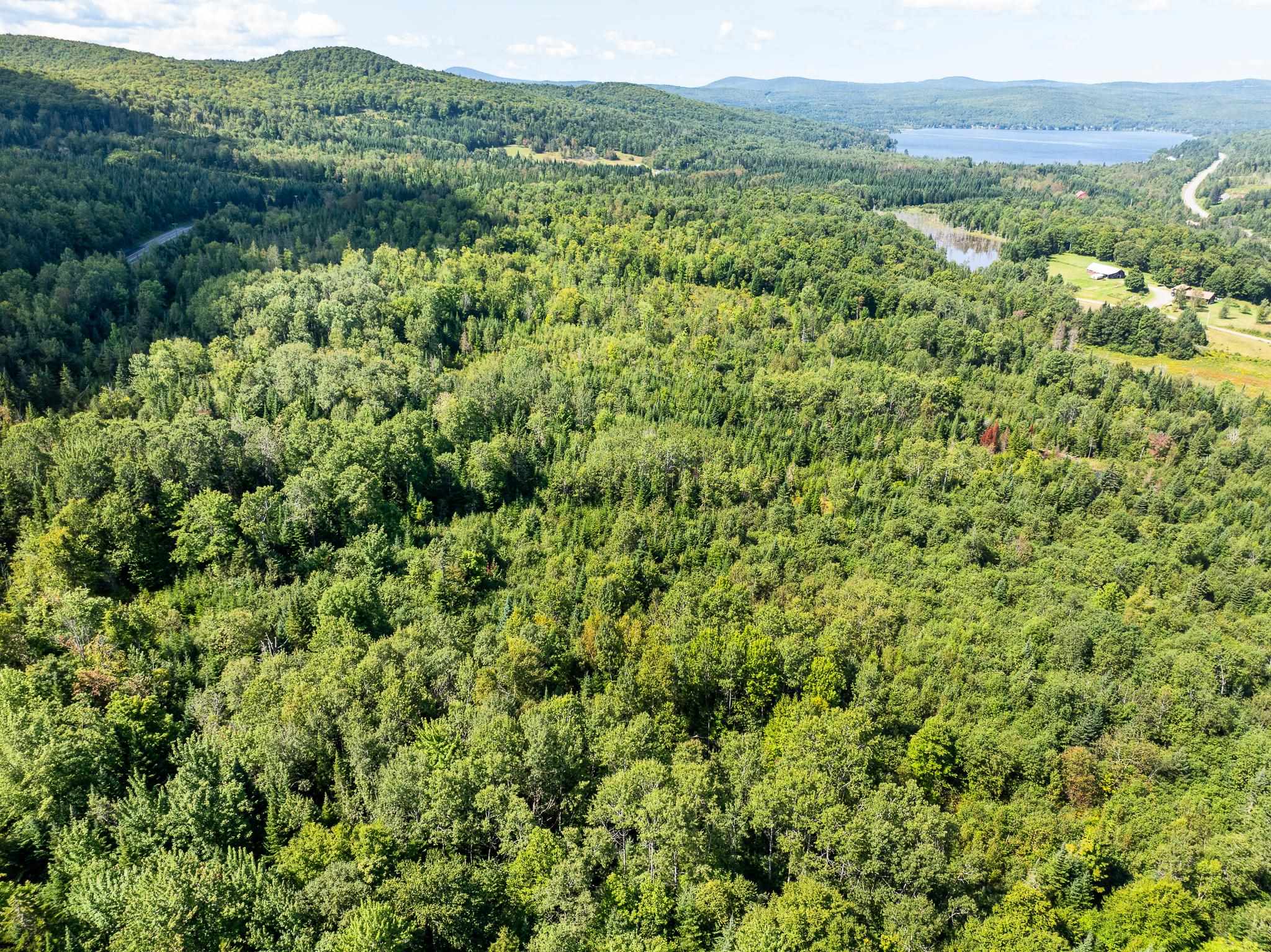 MLS #5011891 image #7