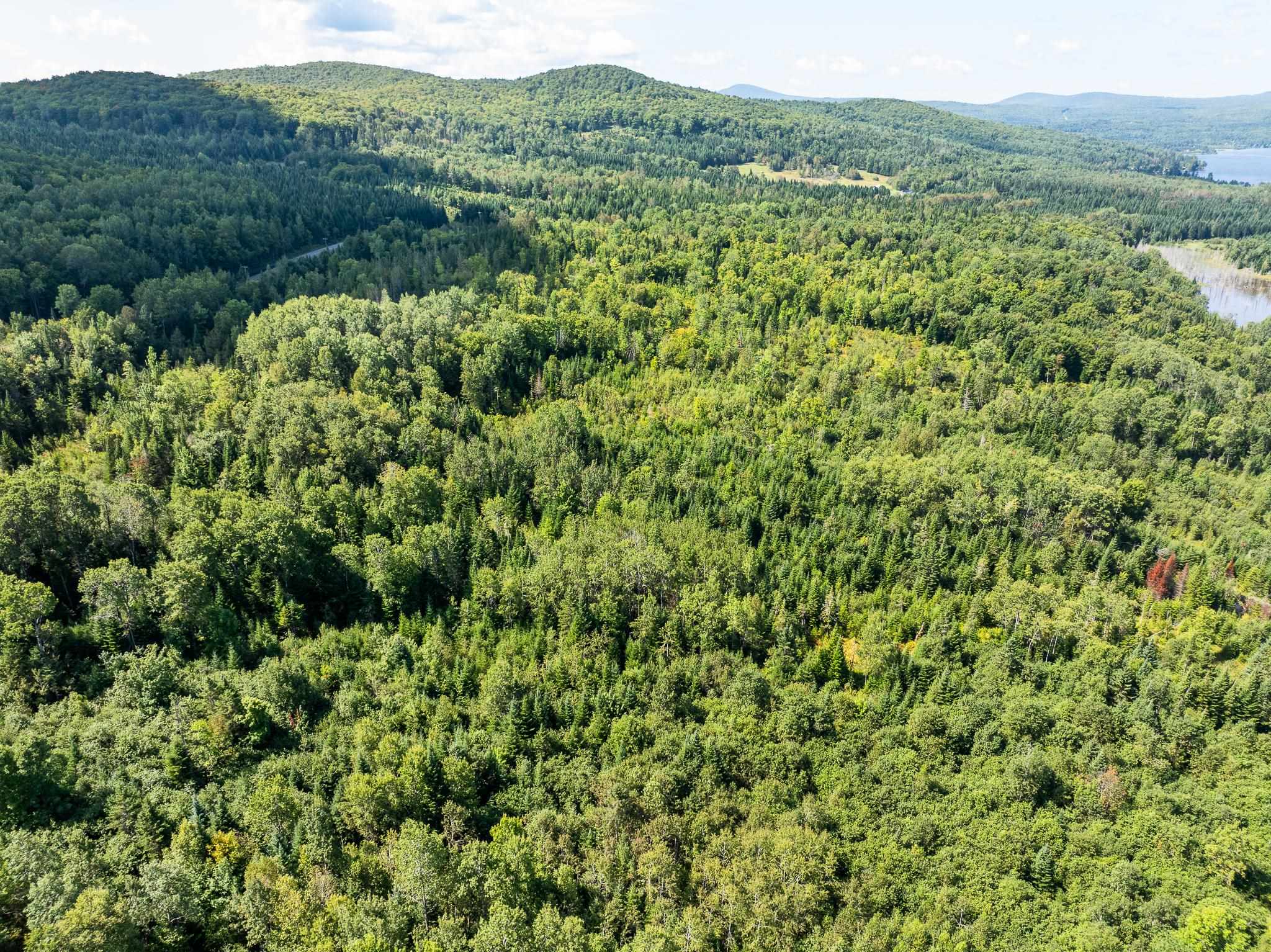 MLS #5011891 image #8