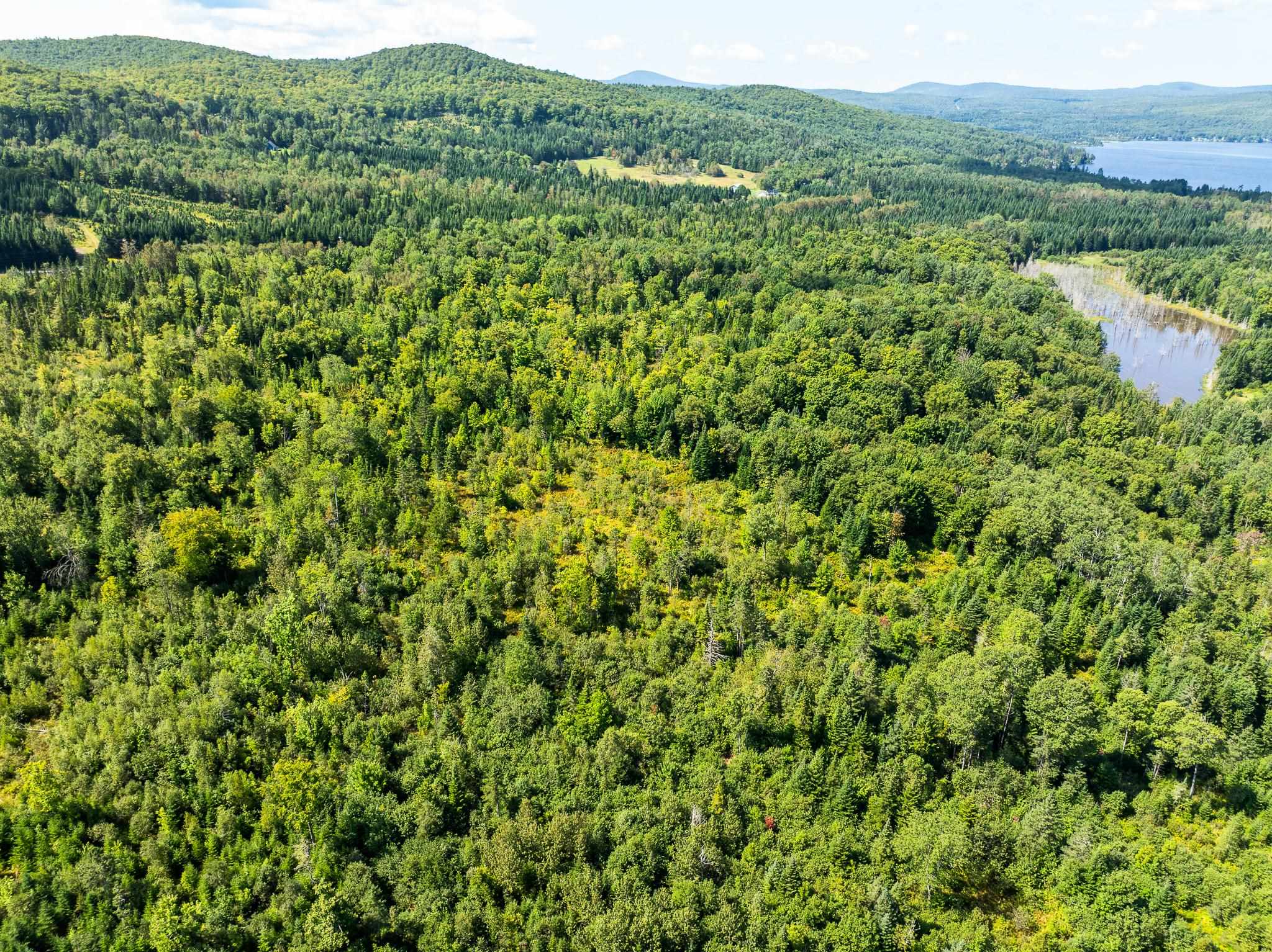 MLS #5011891 image #9