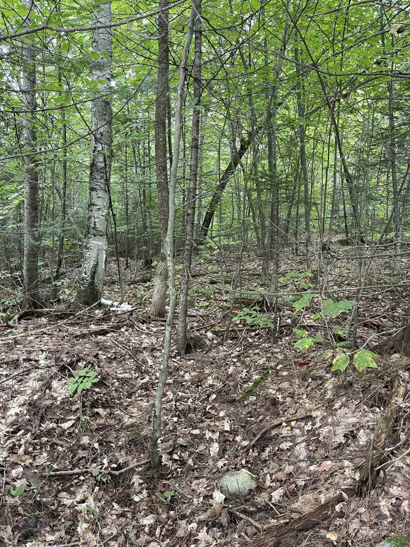 Vershire VT Land for sale $175,000 | 25.7 Acres  | Price Per Acre $0 