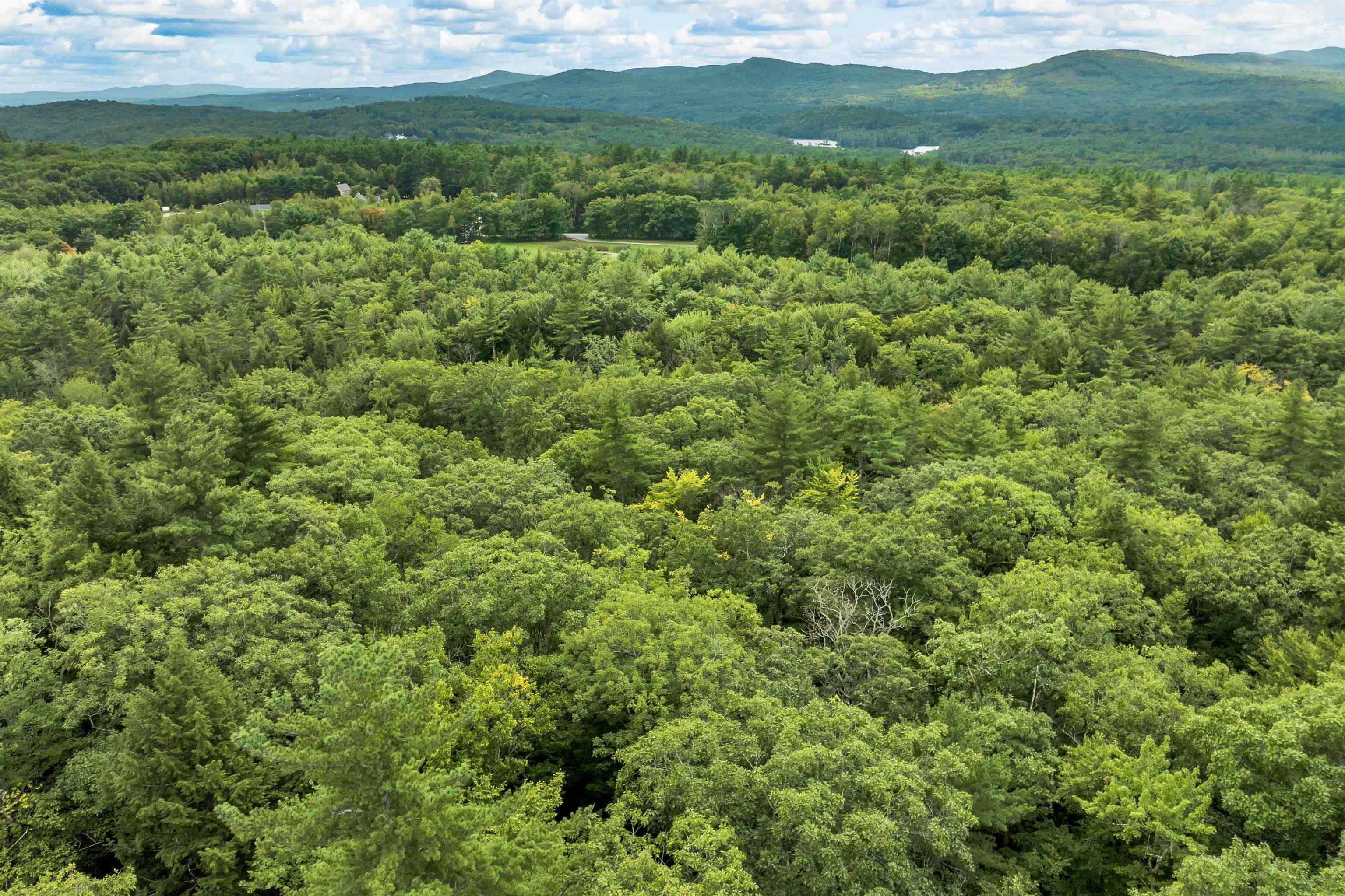 MLS #5013739 image #22