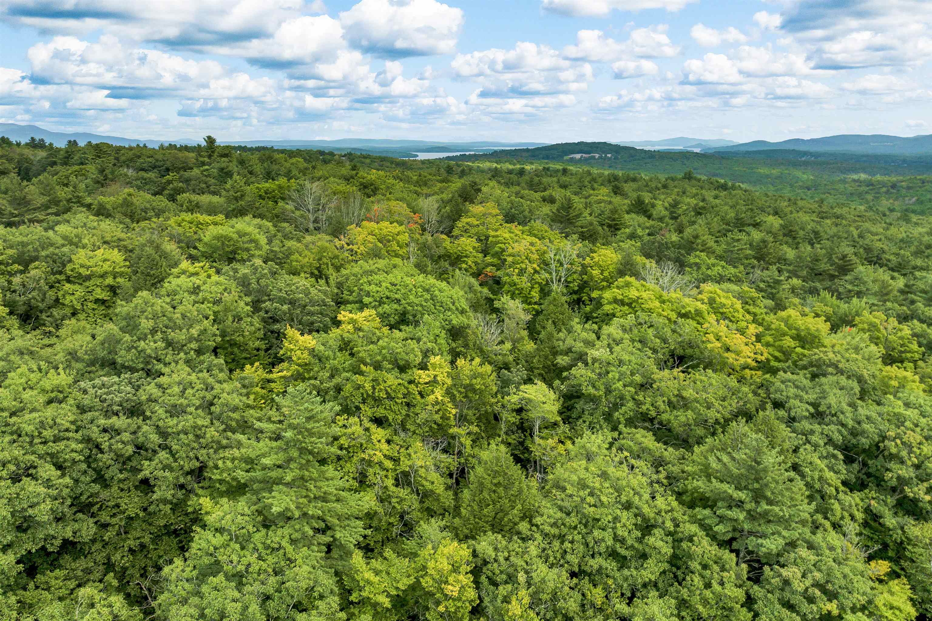 MLS #5013739 image #23