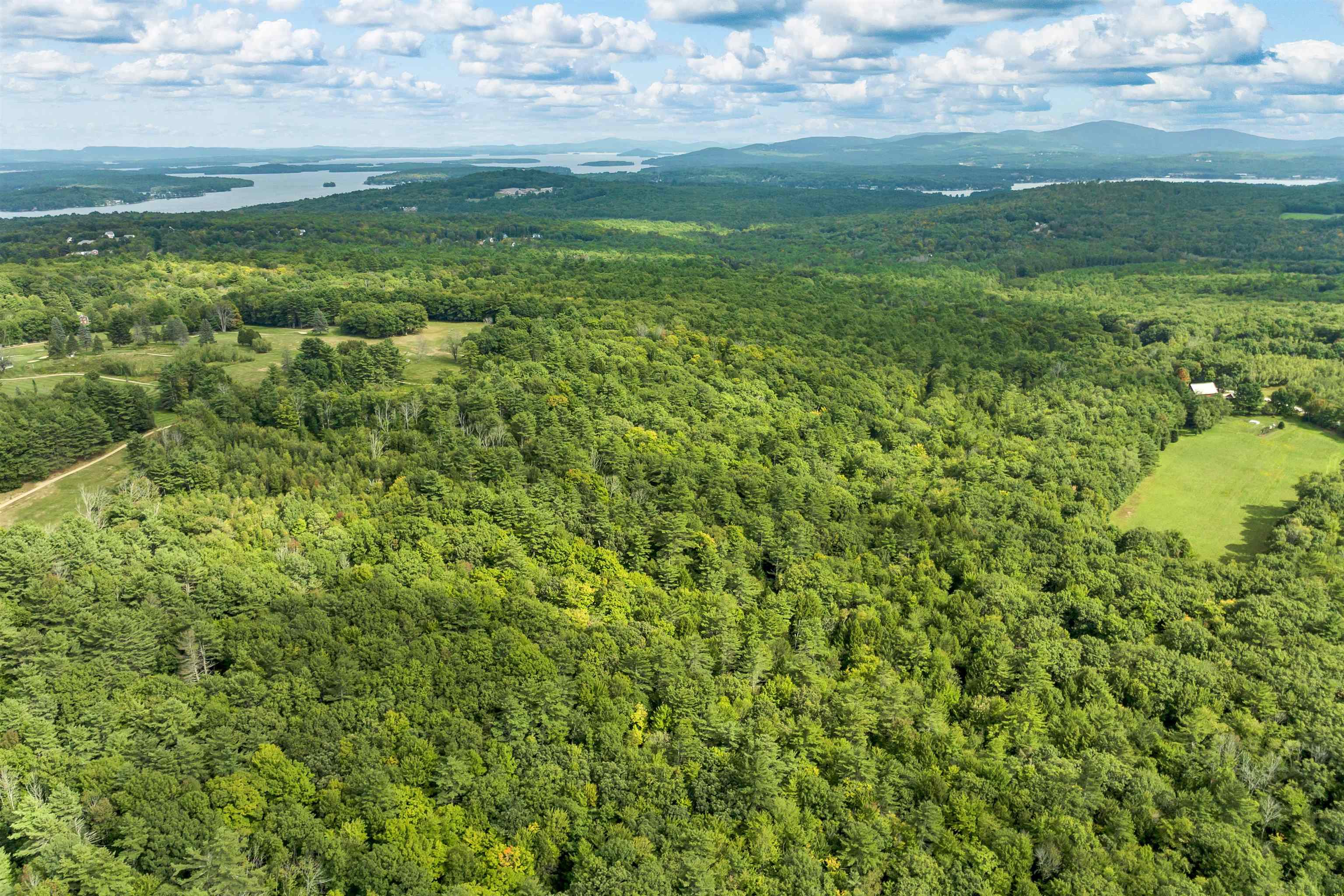 MLS #5013739 image #4