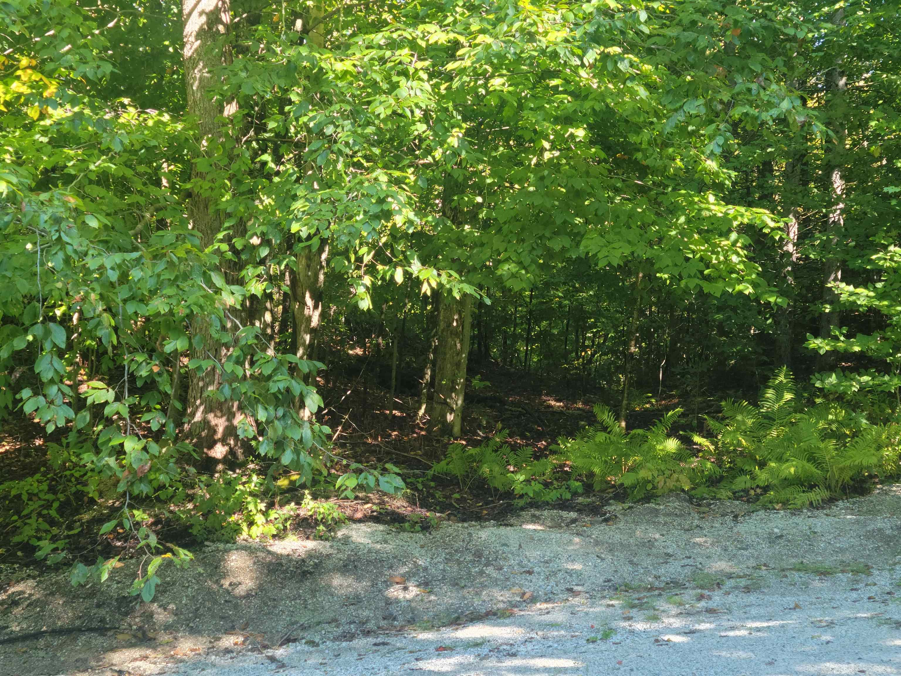 Entrance to lot