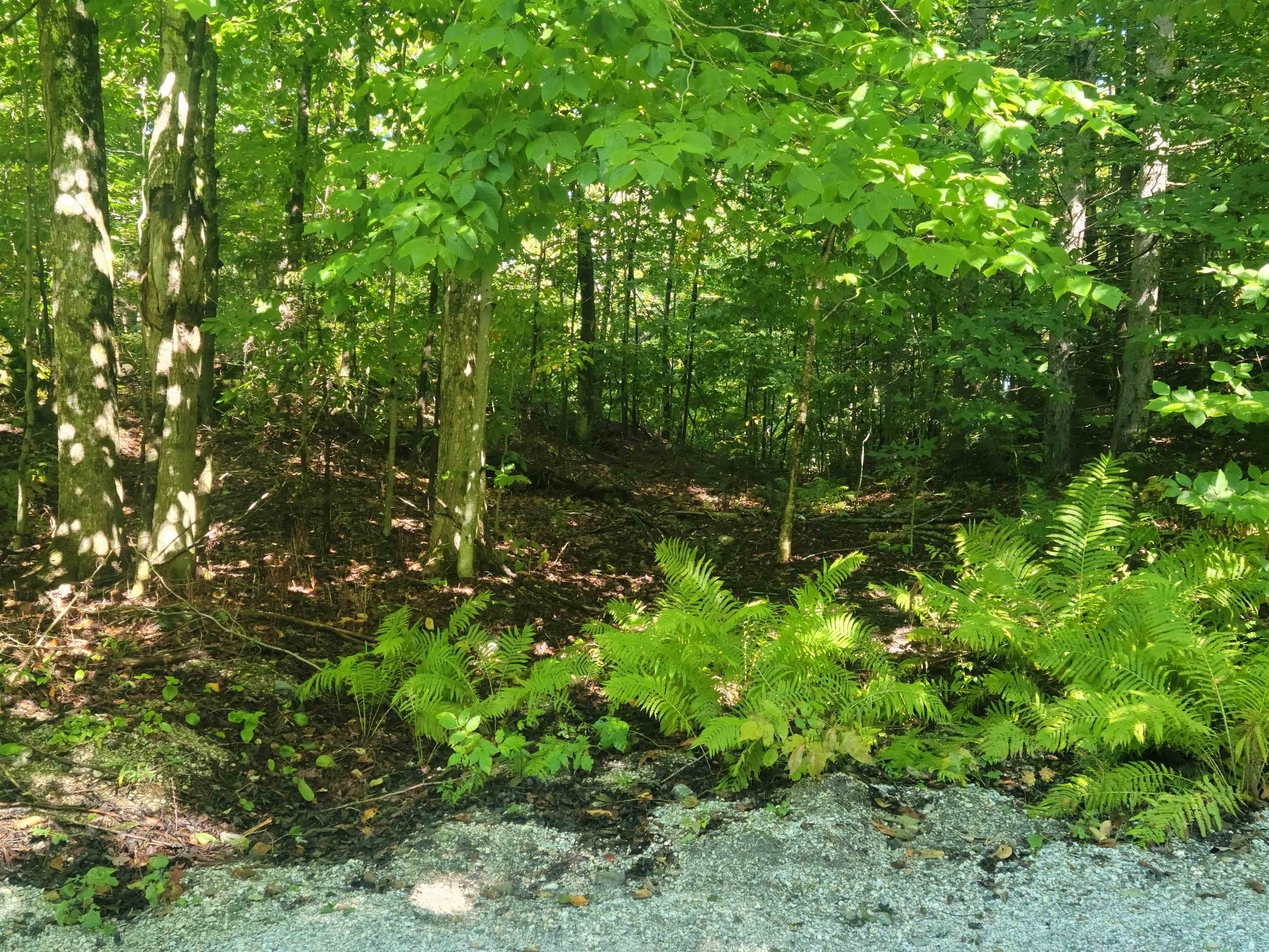 Entrance to lot