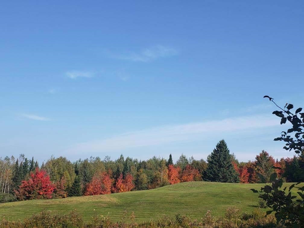 Photo of 548 Haynes Road Stewartstown NH 03576